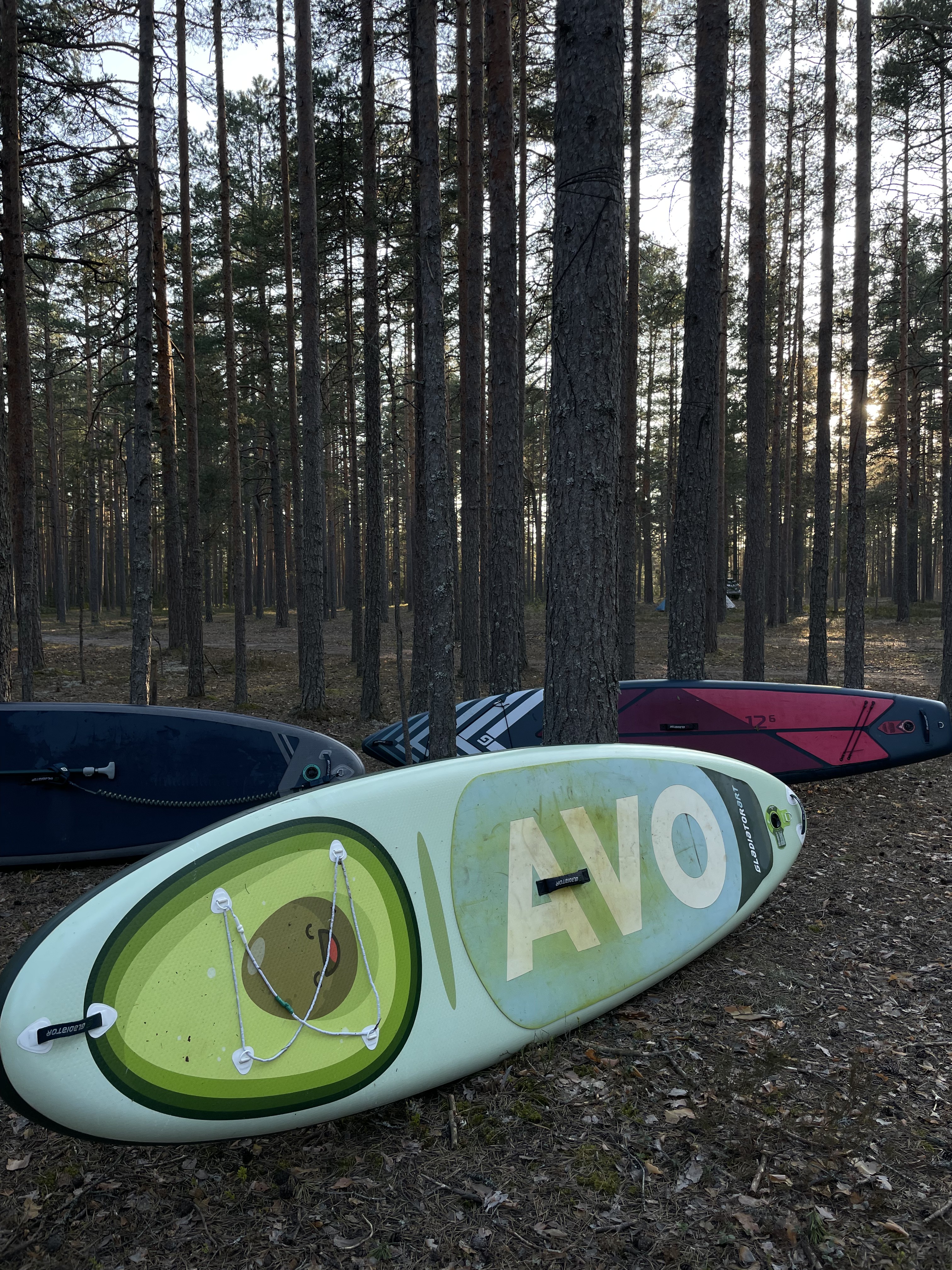 Сап-сплав по реке Ящера (4/11)