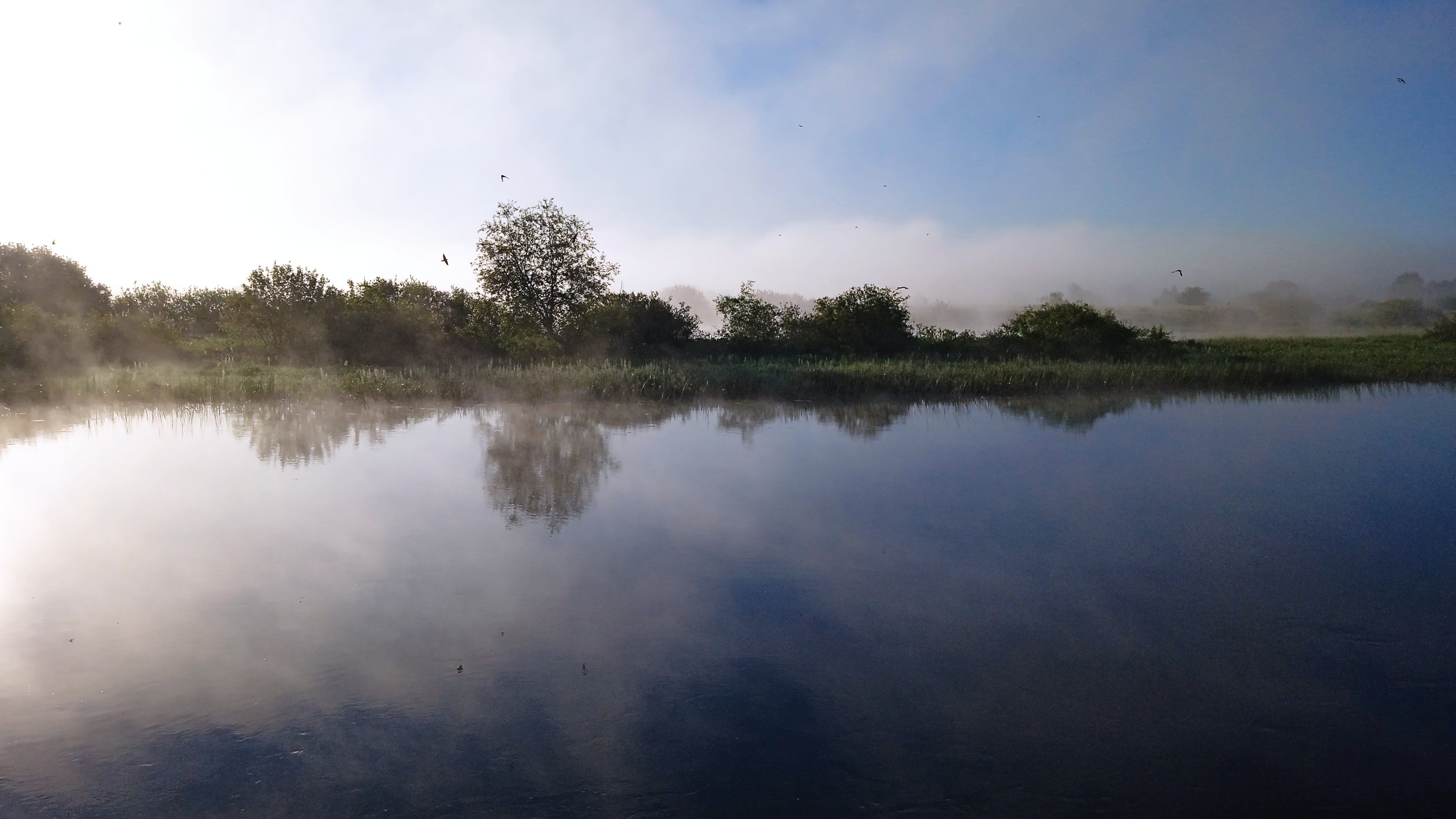 Один день  Цигун  в  Dao View - Ясные просторы (25/37)