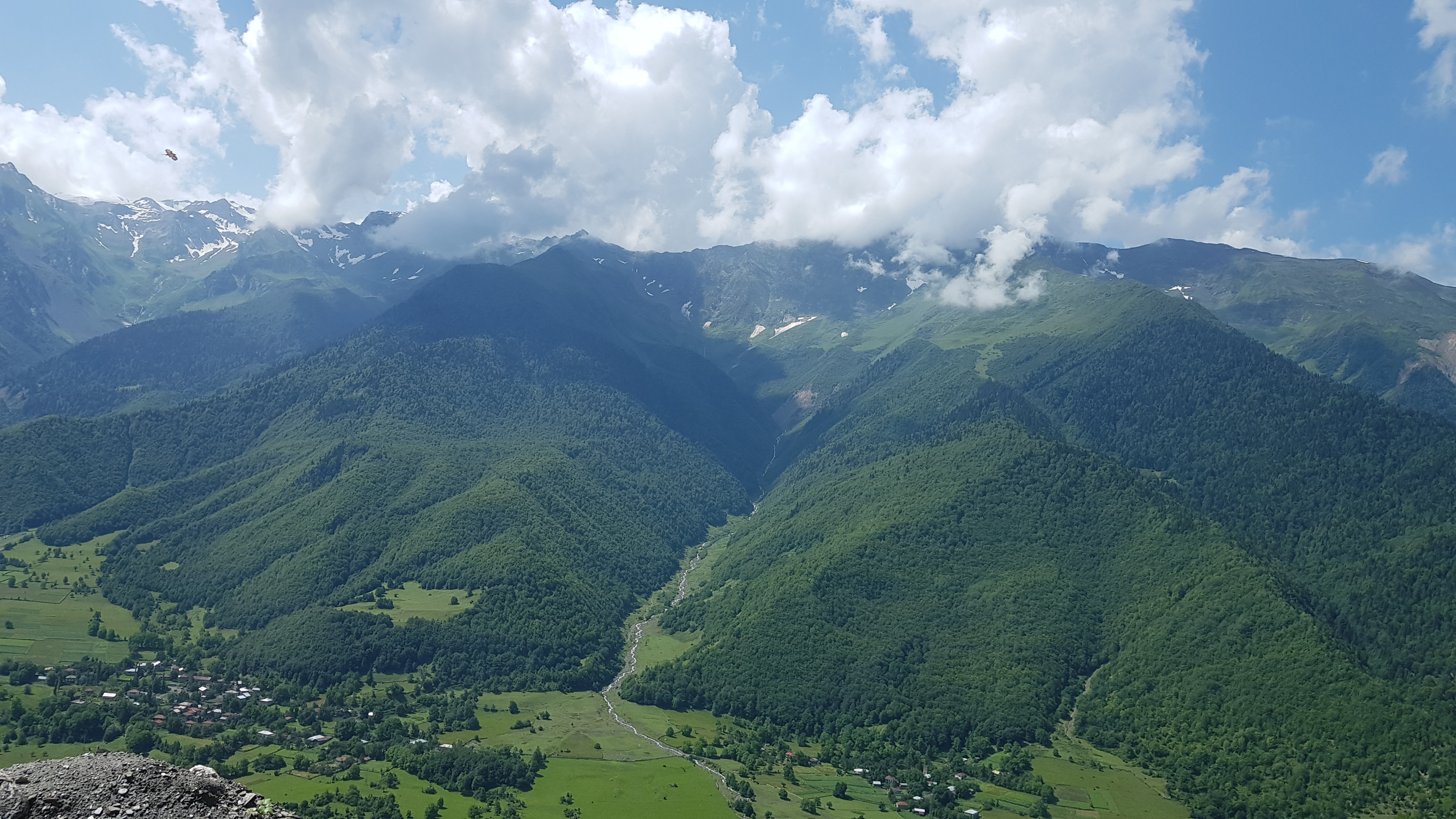 Мая Твая Грузия