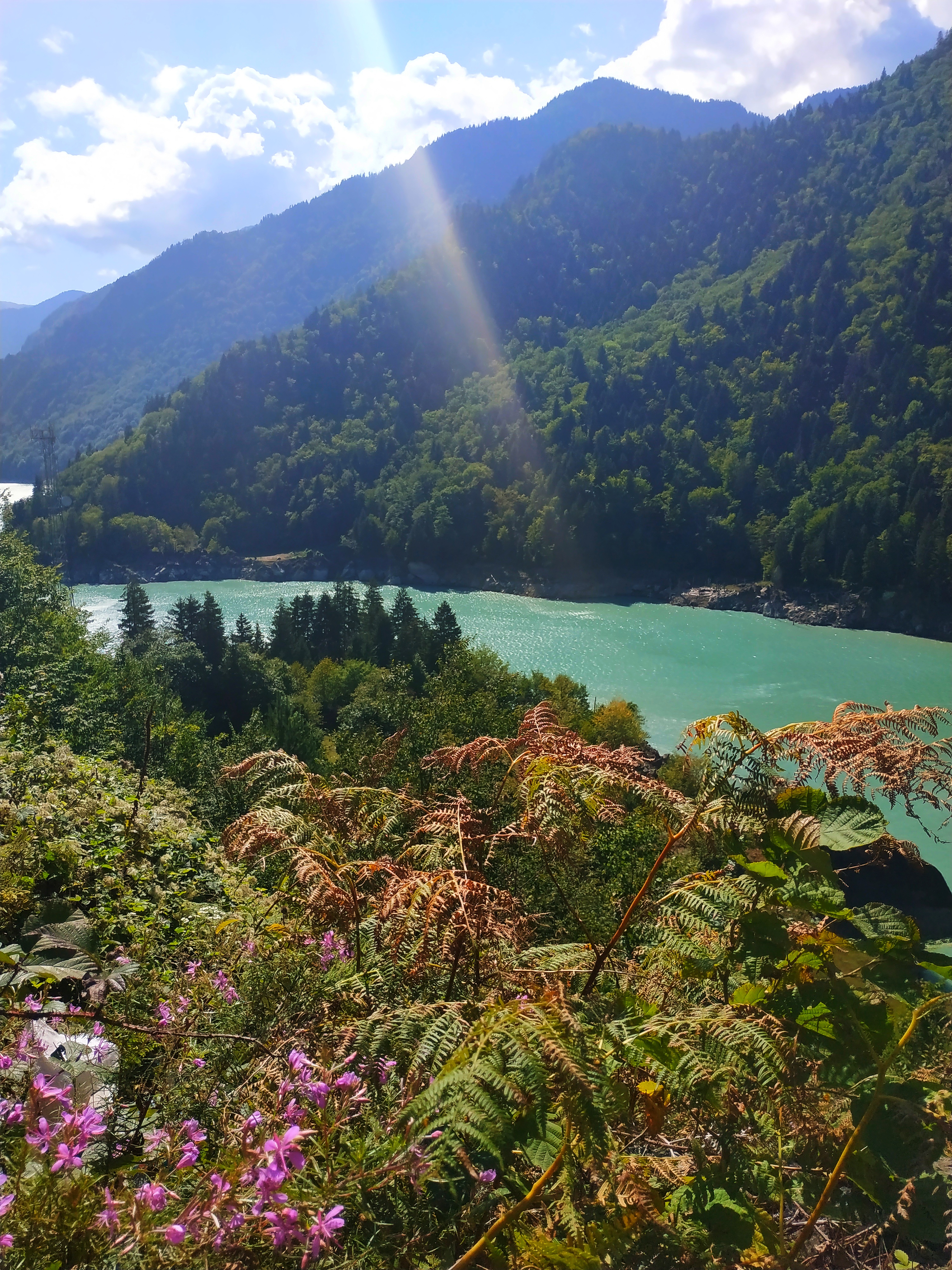 Мая Твая Грузия (10/26)