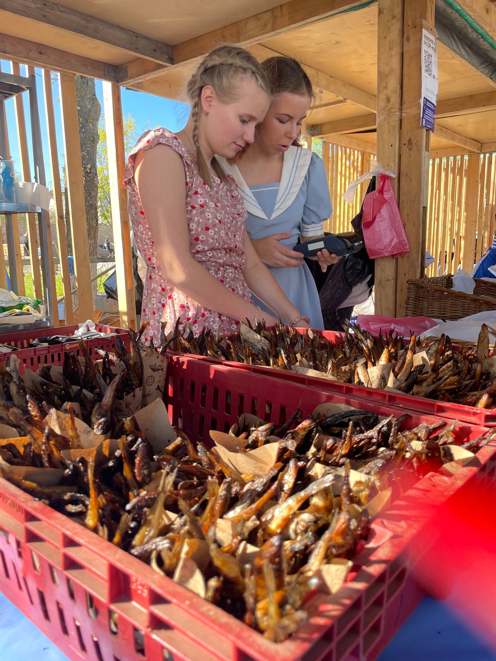 Фестиваль корюшки на Ладоге с прогулкой к водопаду