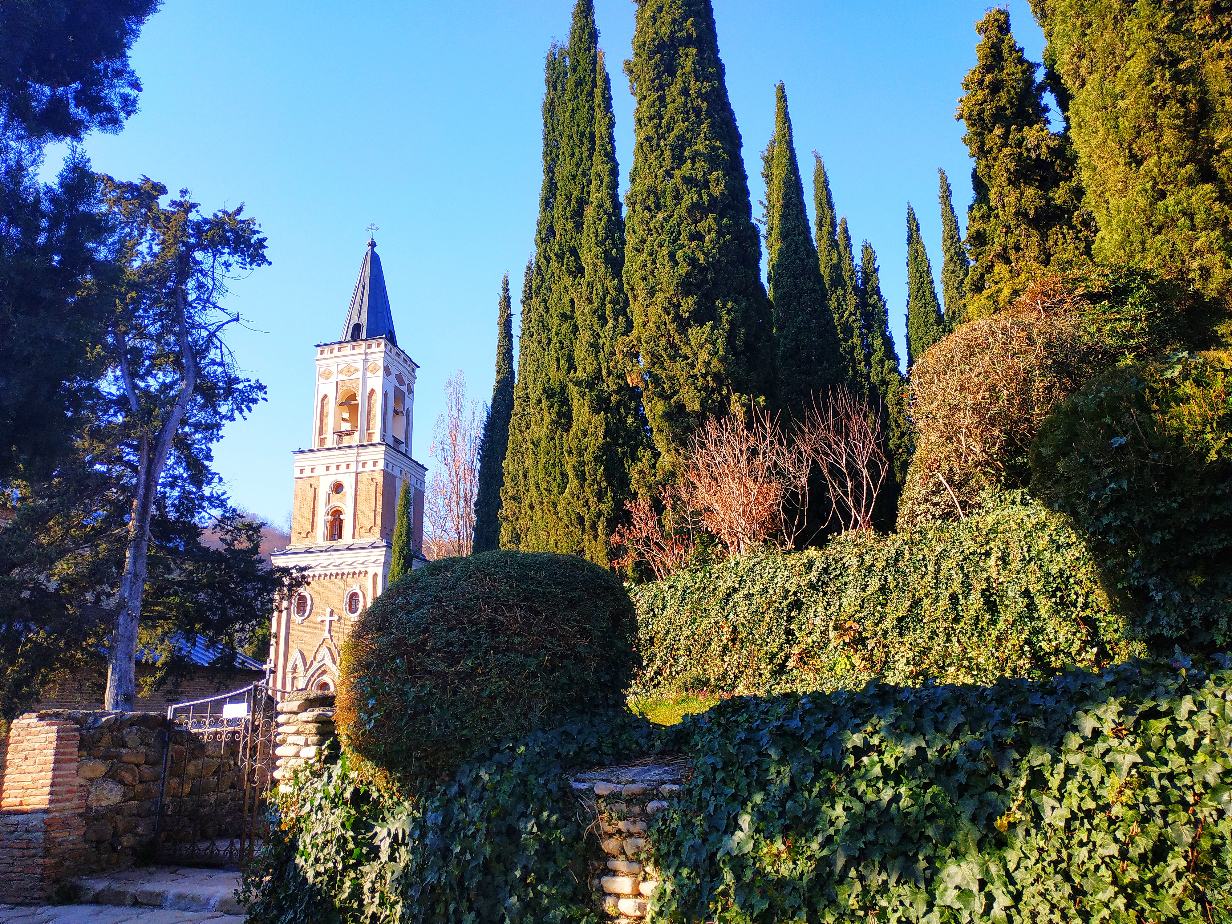 Мая Твая Грузия (20/26)