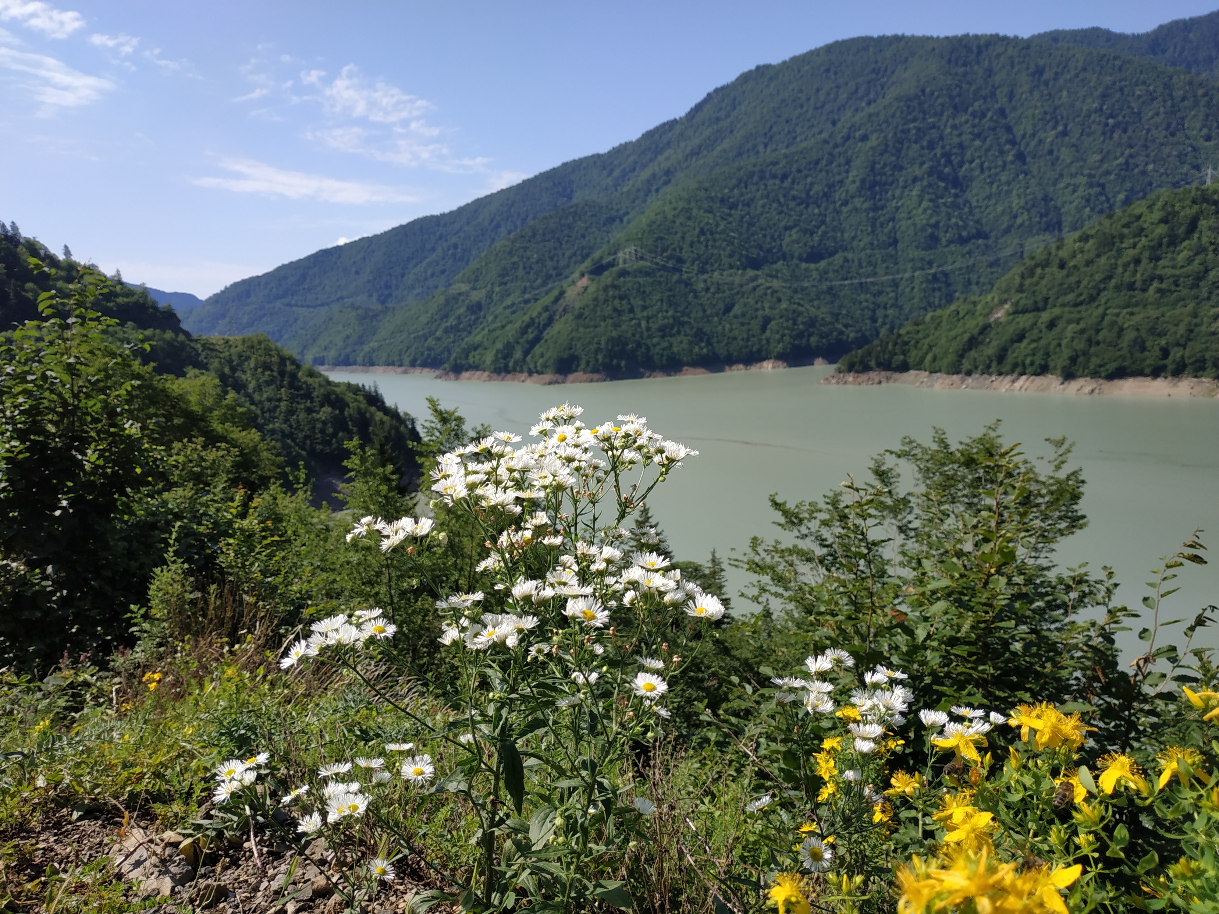 Мая Твая Грузия (4/26)