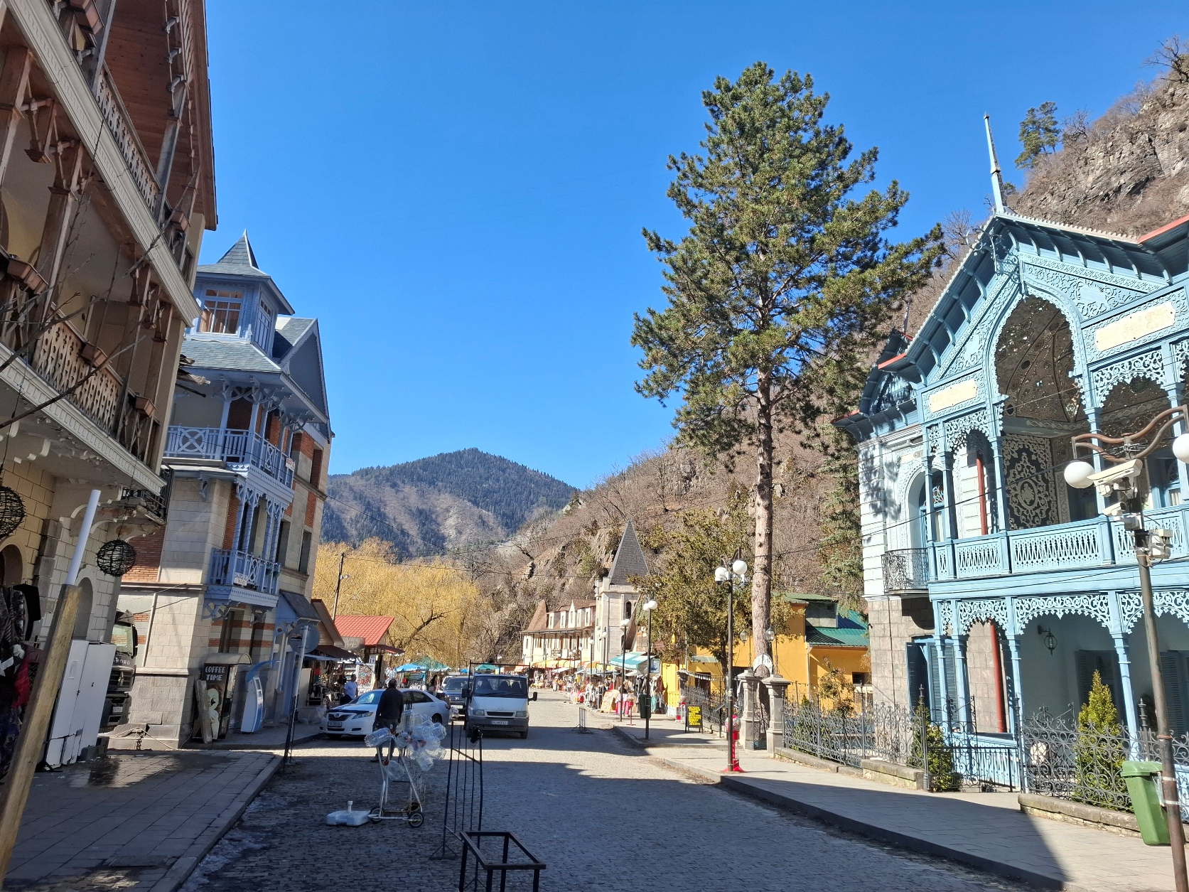 В Грузию с комфортом и без спешки! (30/35)