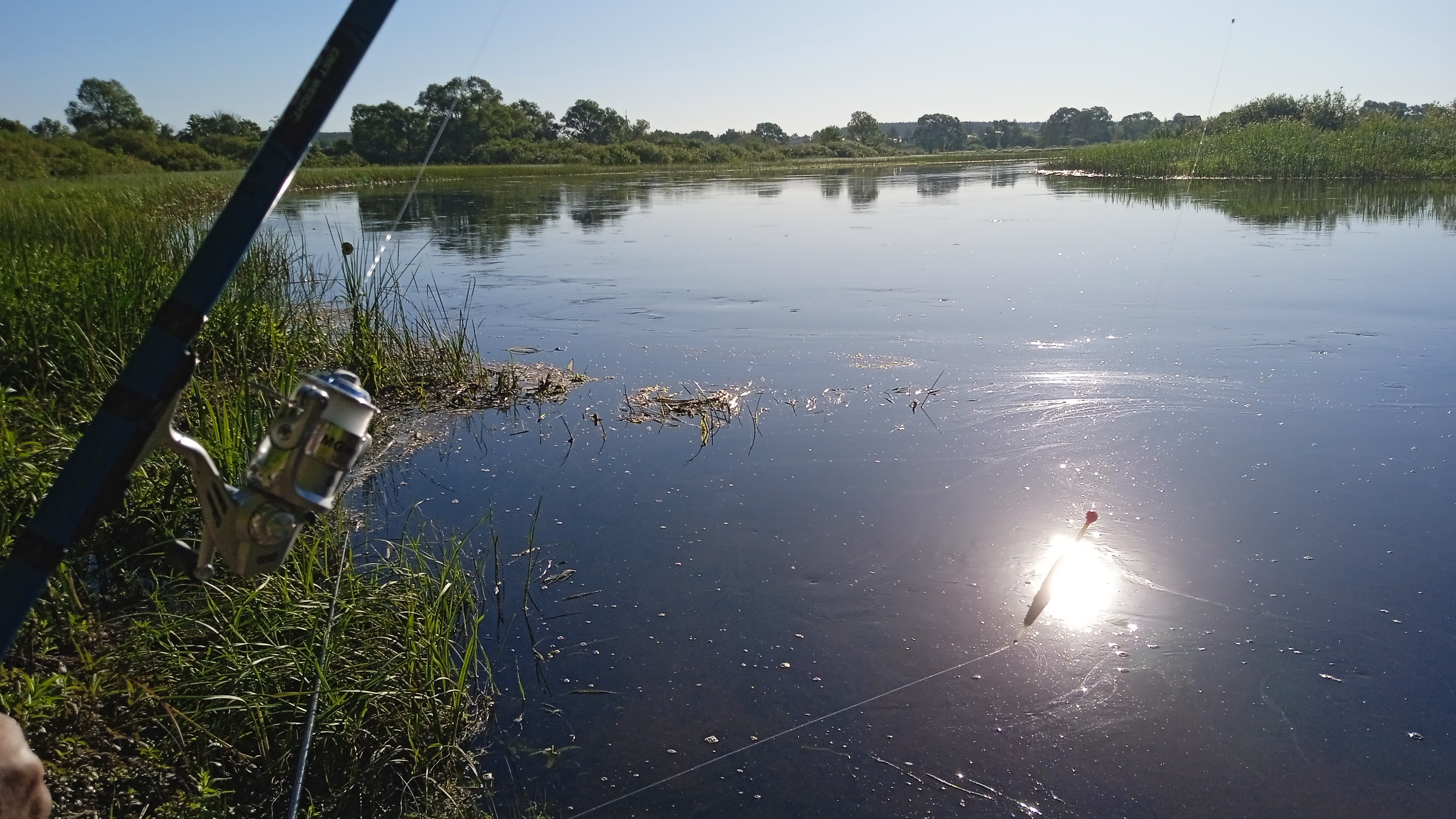 Один день  Цигун  в  Dao View - Ясные просторы (21/37)