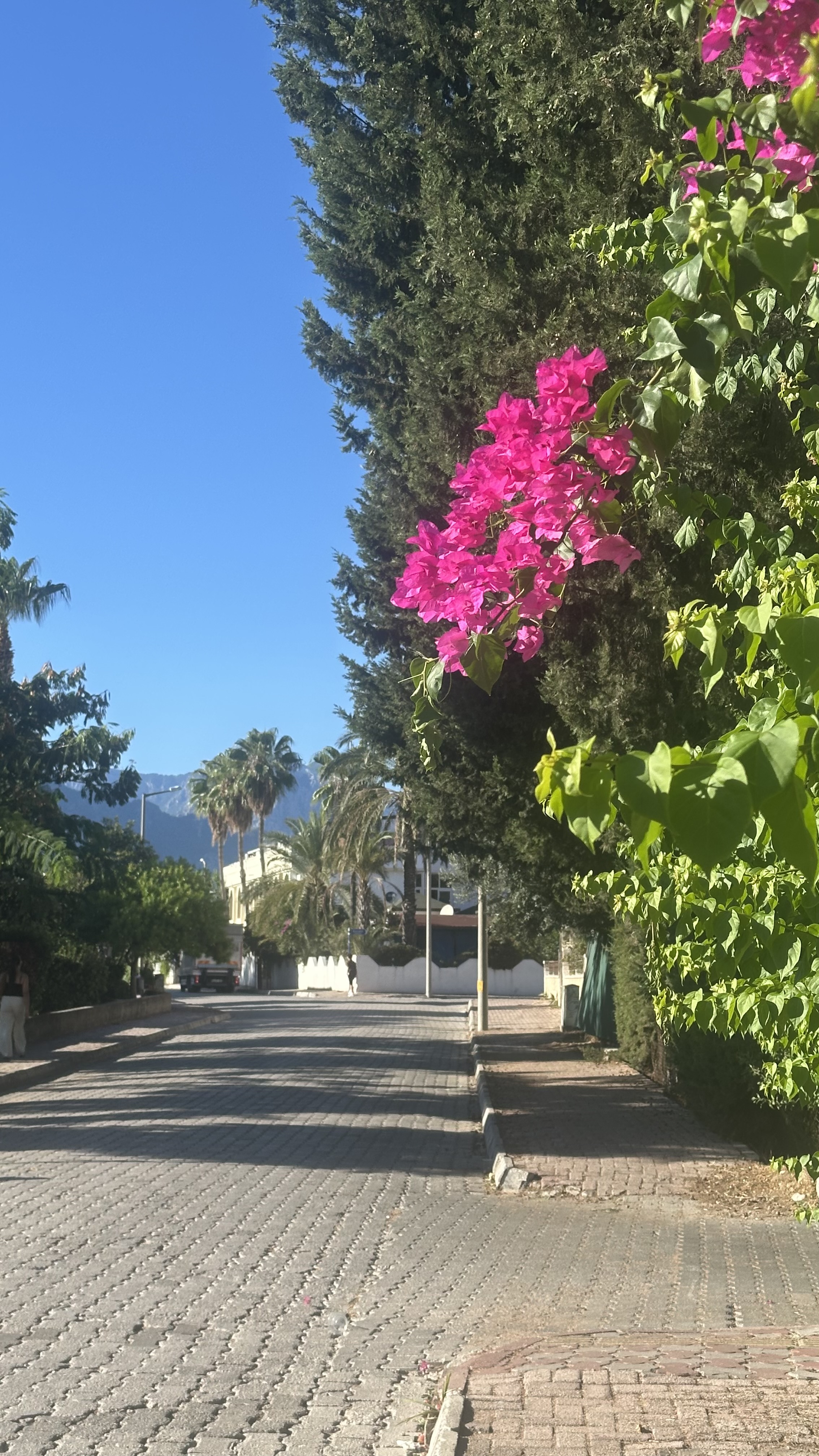 Юг Турции (5/22)