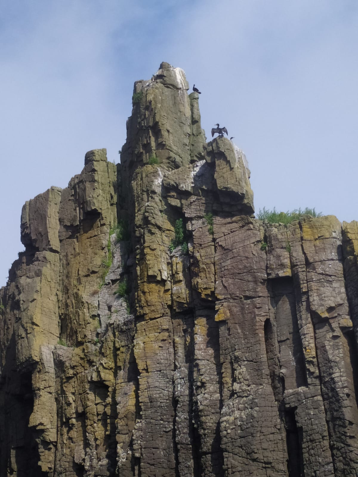 Тур Восточный участок  гроты, сосны Бонсай и лазоревое море (12/13)