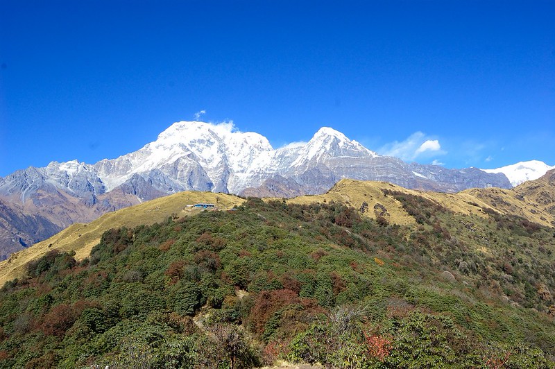 Mardi Himal Trek From Pokhara (6/11)