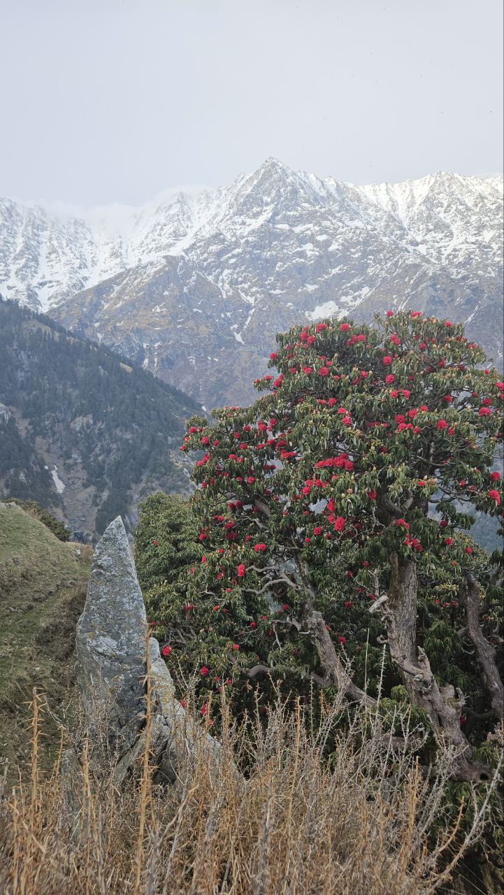 Трекинг на плато Триунд (подъем)