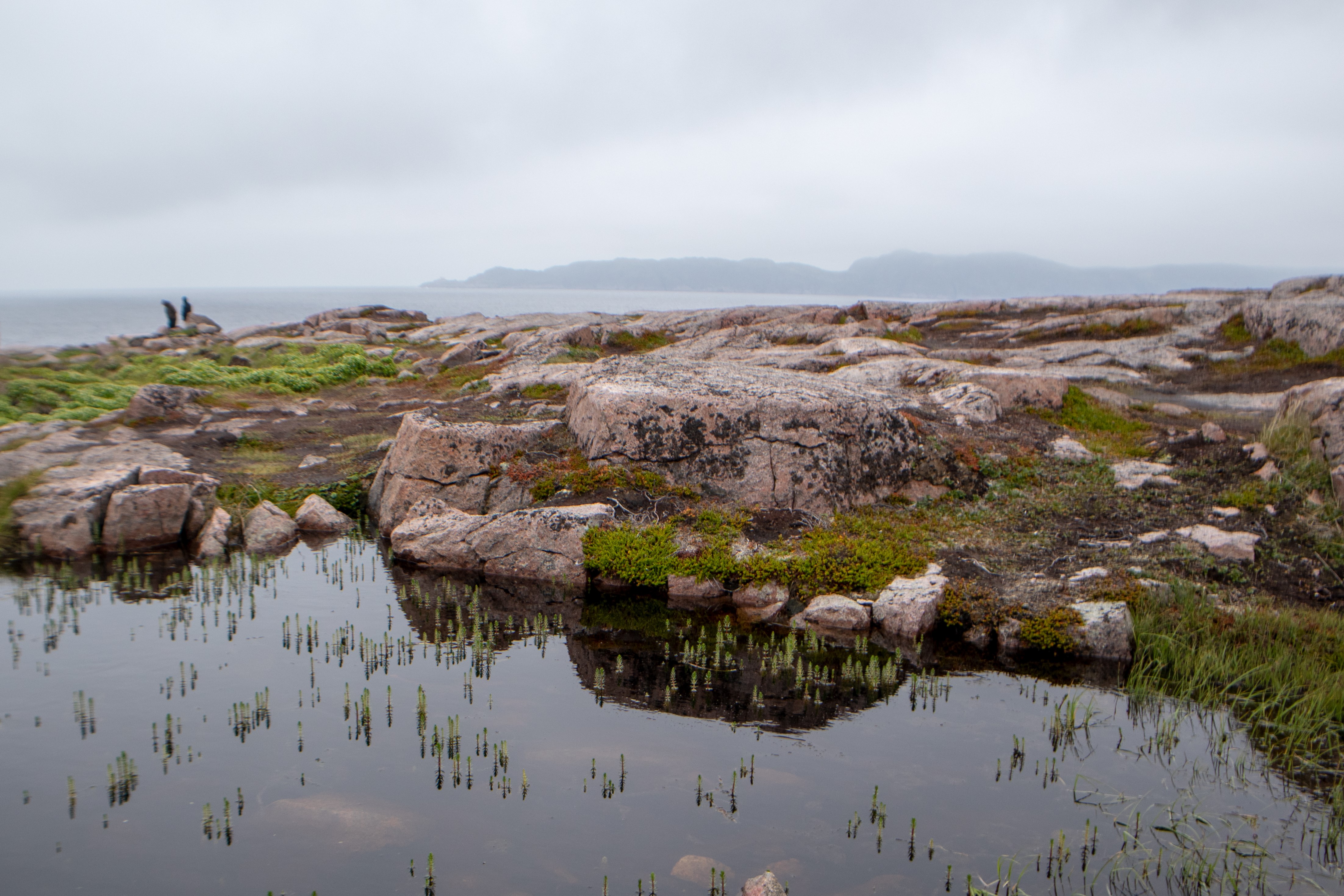 Кольский Лайт: Териберка + проживание (32/37)