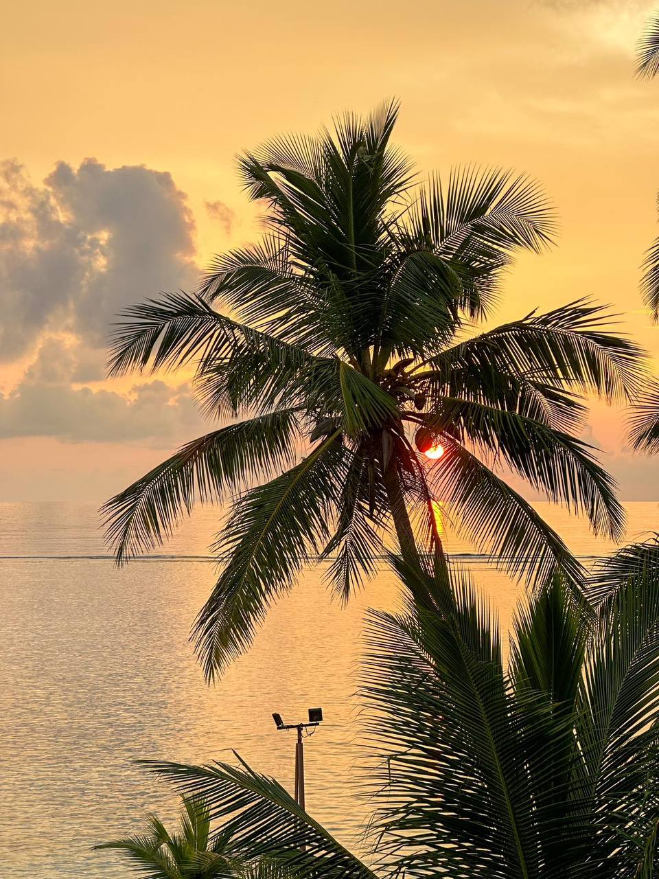 Тропические приключения на Мальдивах (35/36)