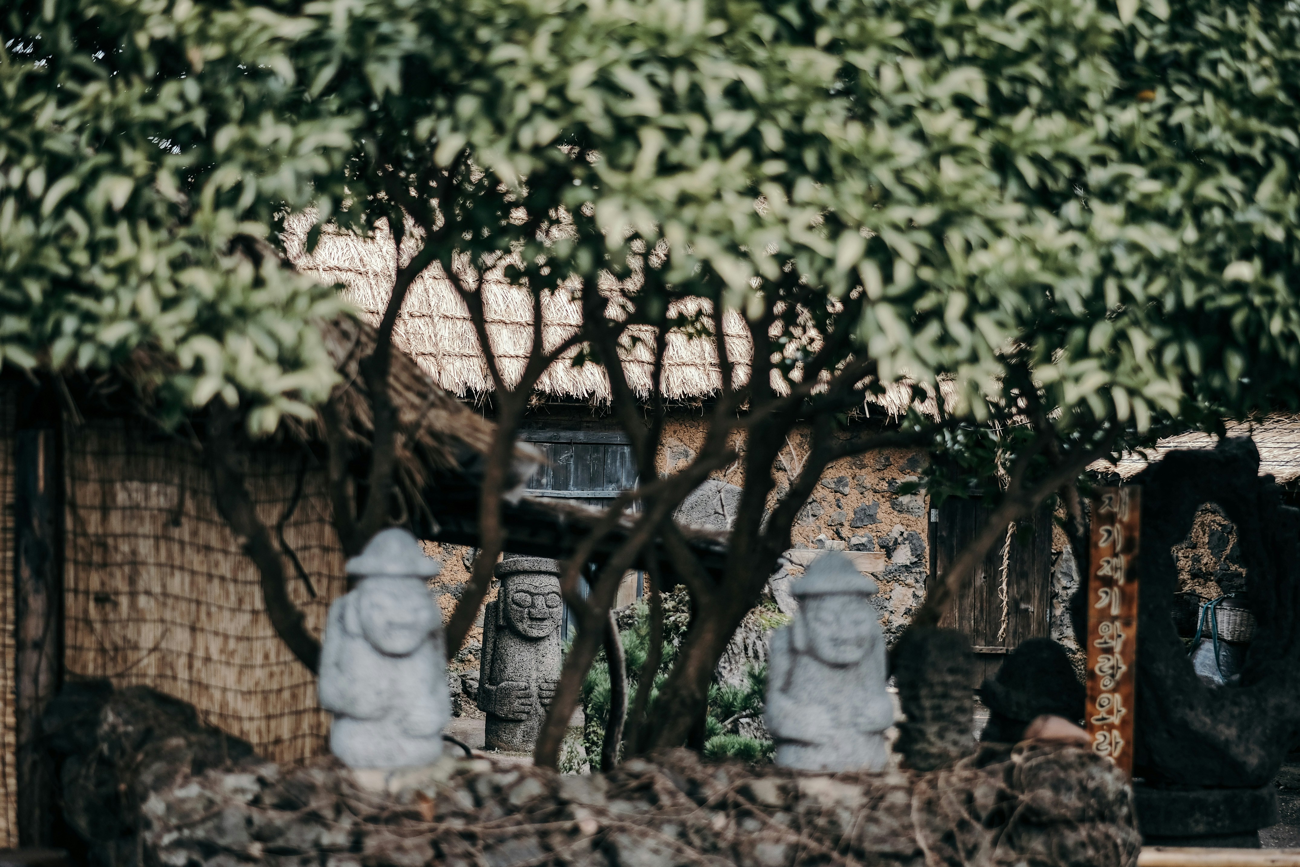 Южная Корея (18/22)