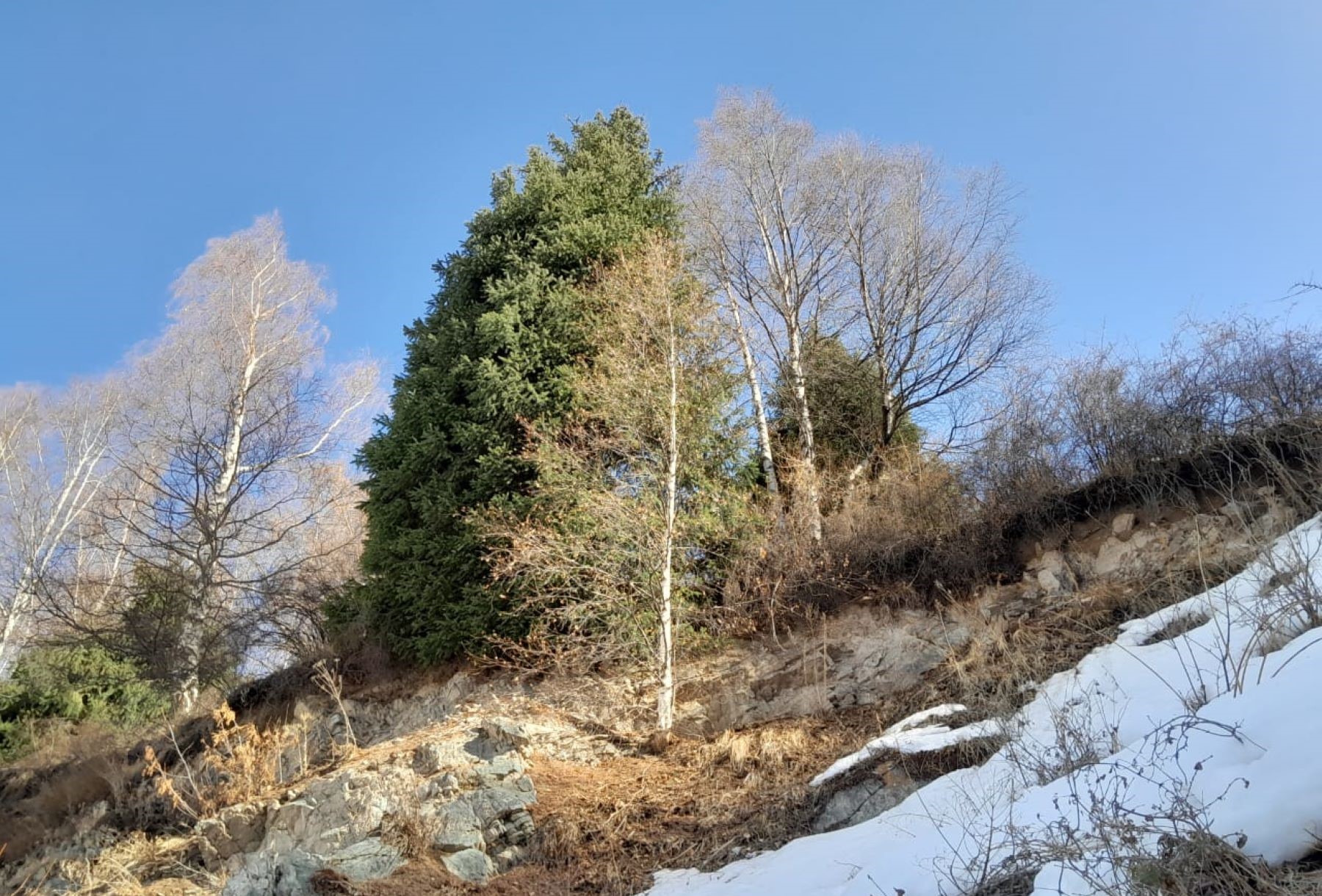 Треккинг От шума льда — к тишине гор (23/34)