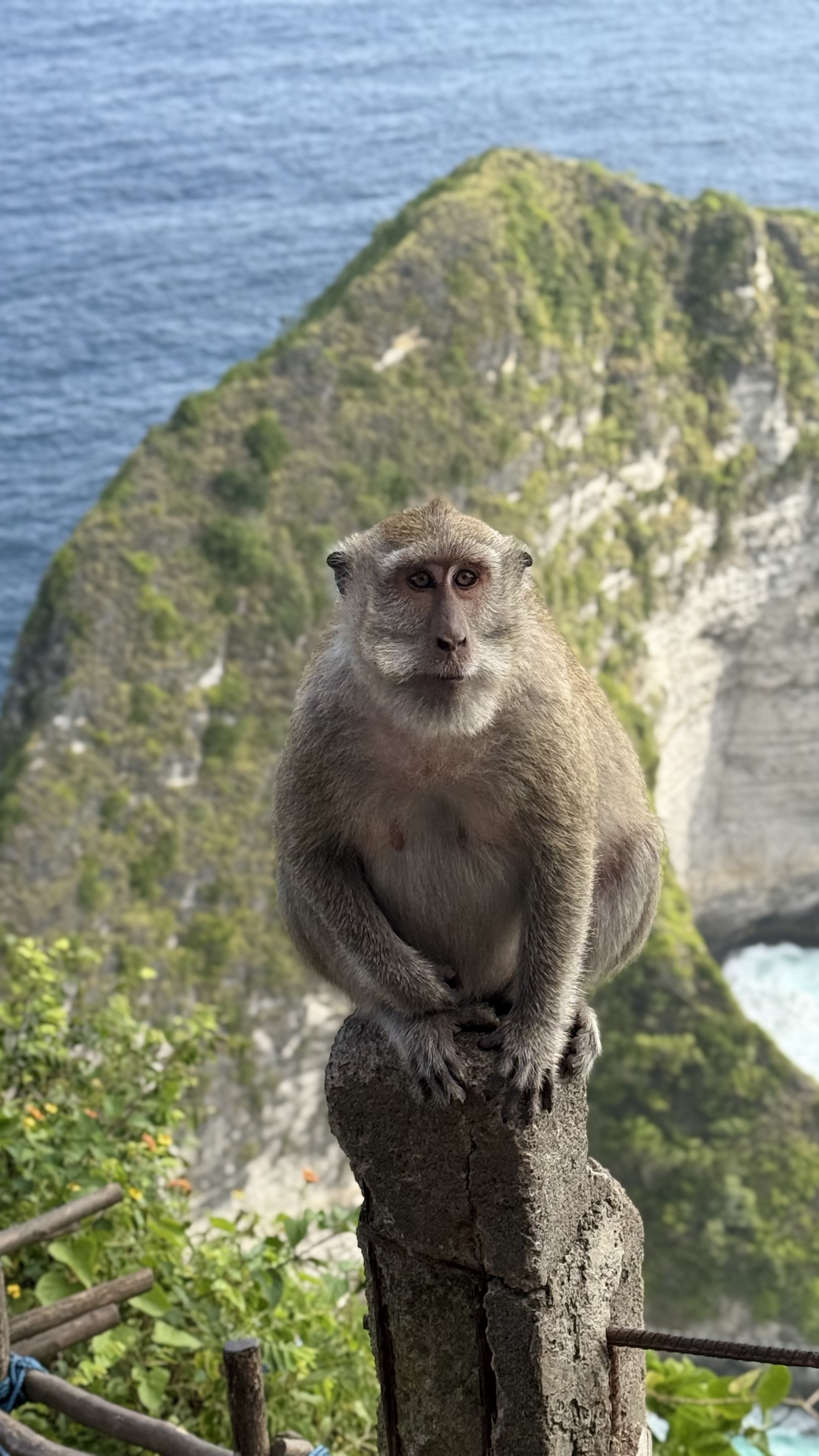 Тропическая Симфония: Бали, Центральная Ява, Малайзия и Вьетнам! (13/57)
