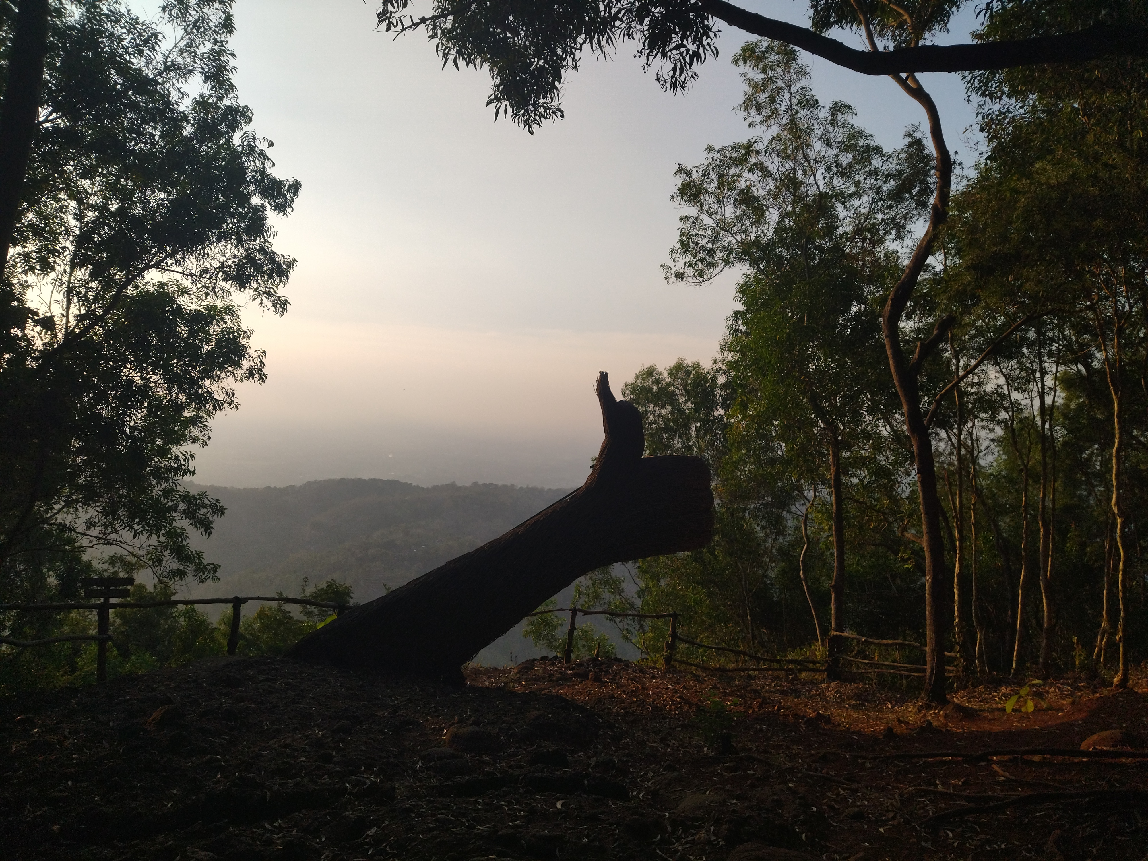 Тропическая Симфония: Бали, Центральная Ява, Малайзия и Вьетнам! (42/57)