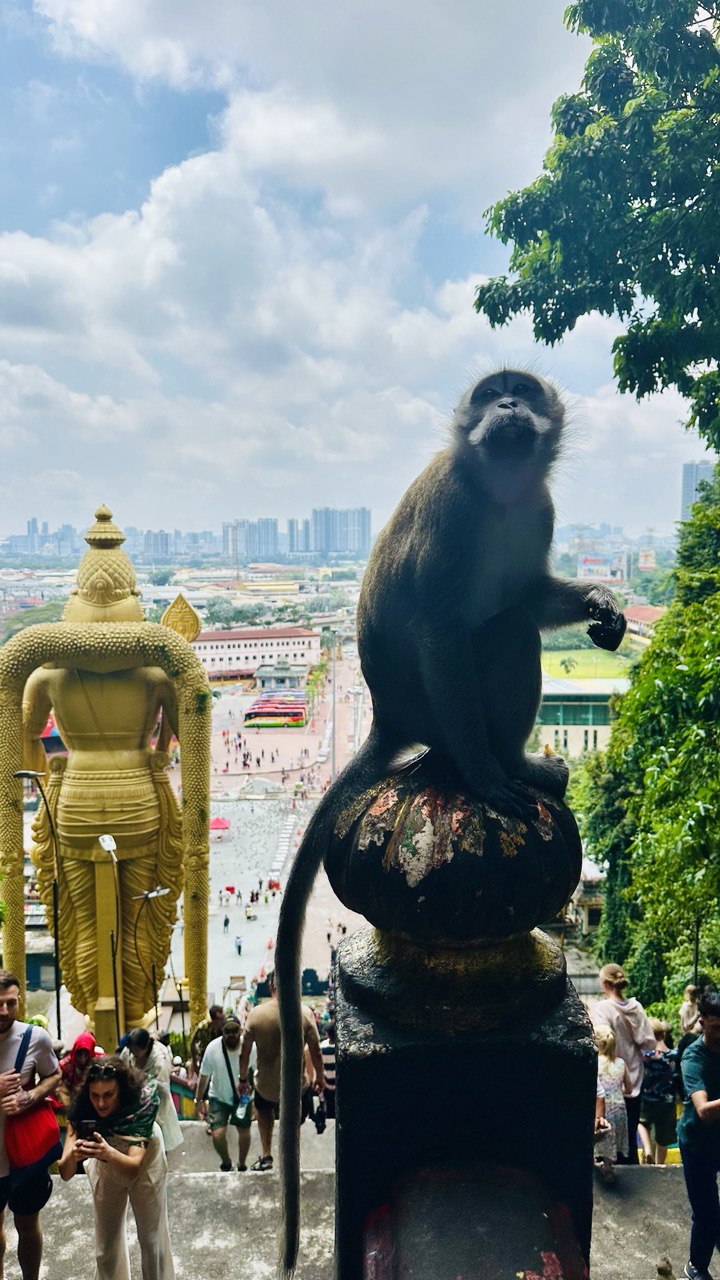 Тропическая Симфония: Бали, Центральная Ява, Малайзия и Вьетнам! (19/57)