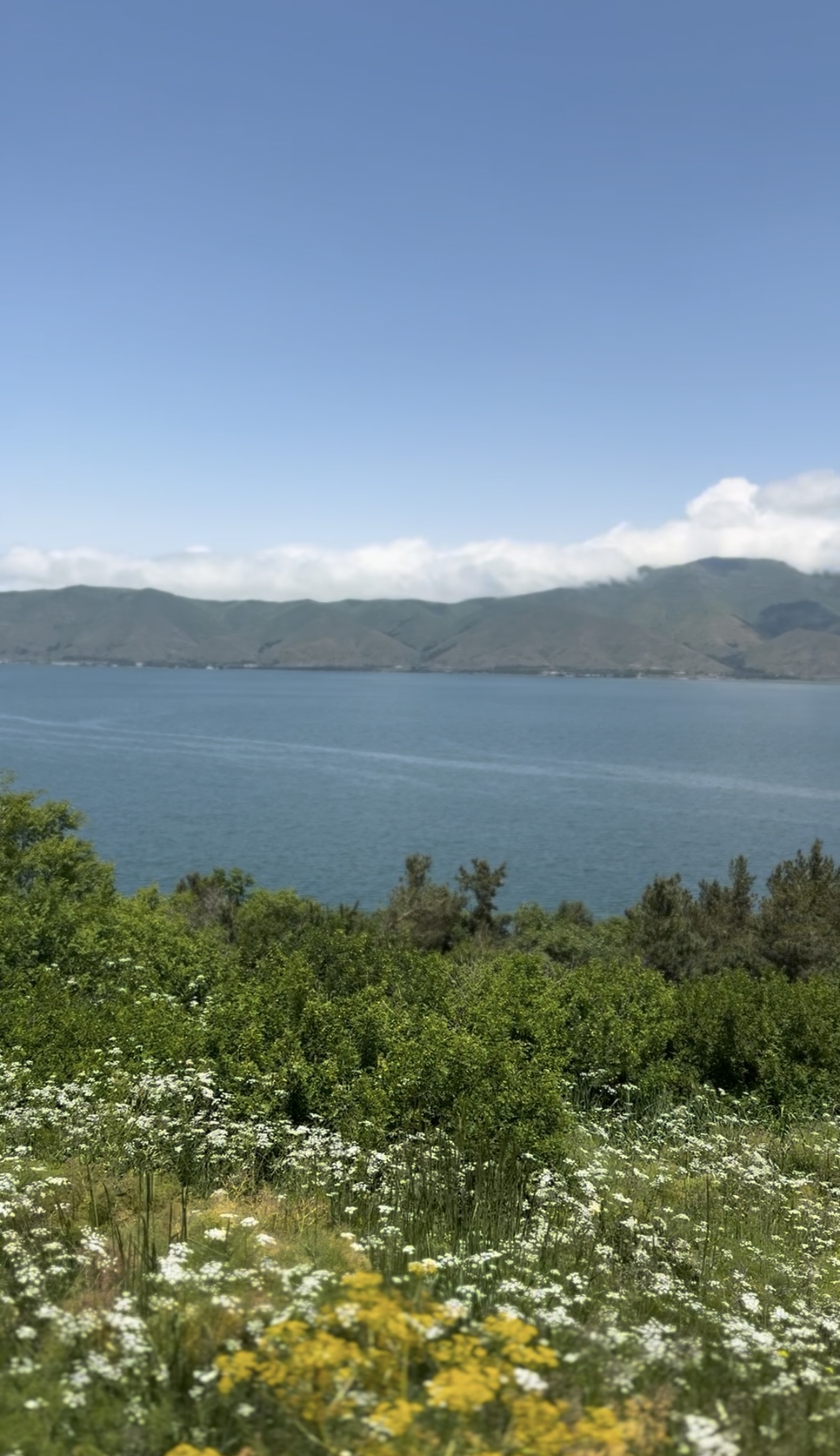 Винно-гастрономический тур: дегустации и мастер-классы (17/30)