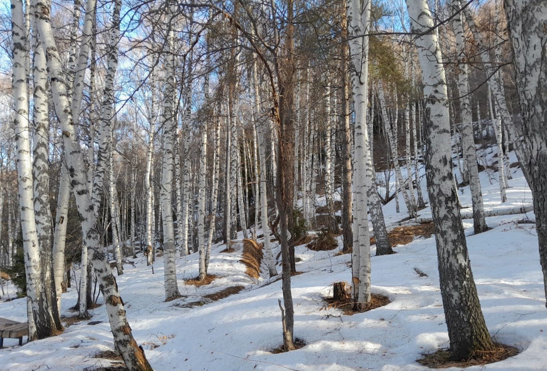 Треккинг От шума льда — к тишине гор (15/34)