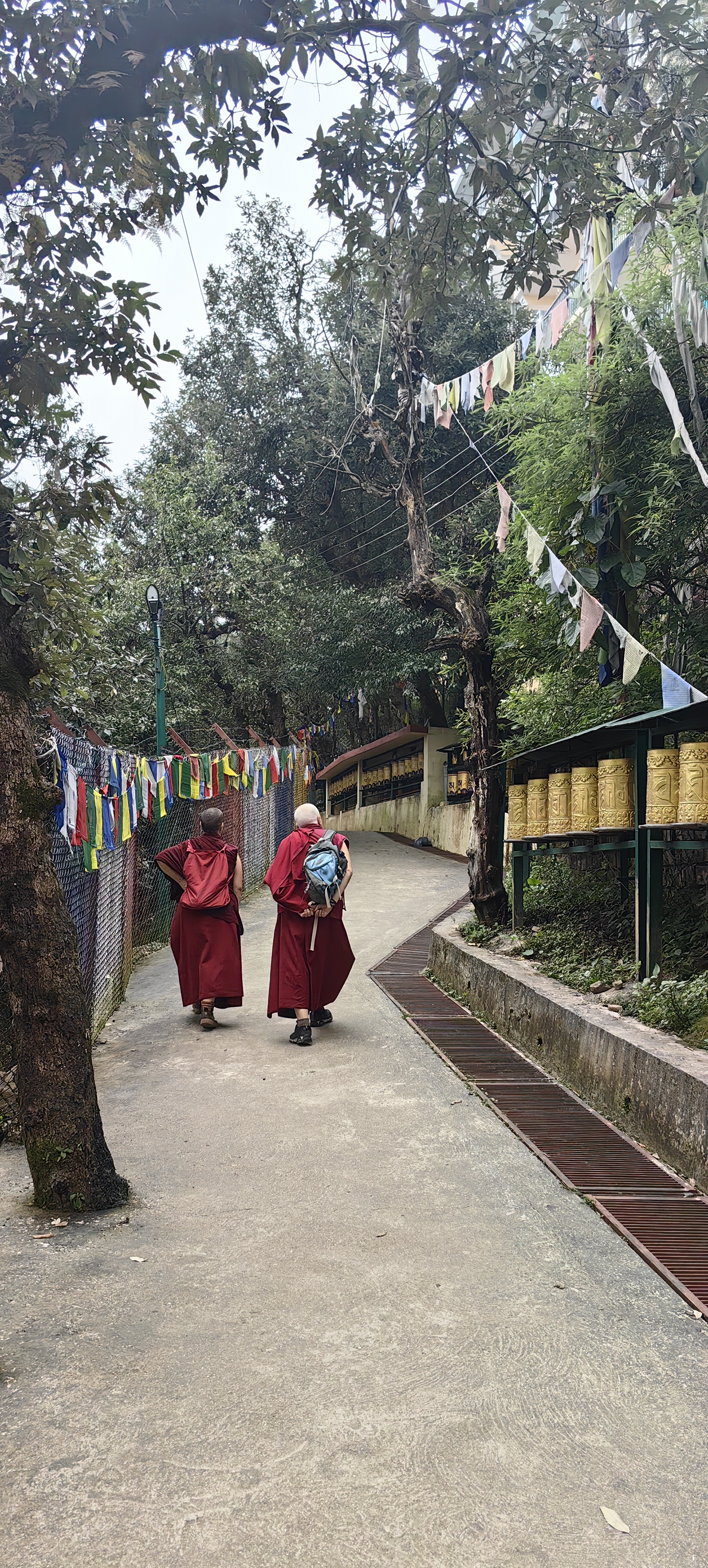Знакомство с Дхарамсалой