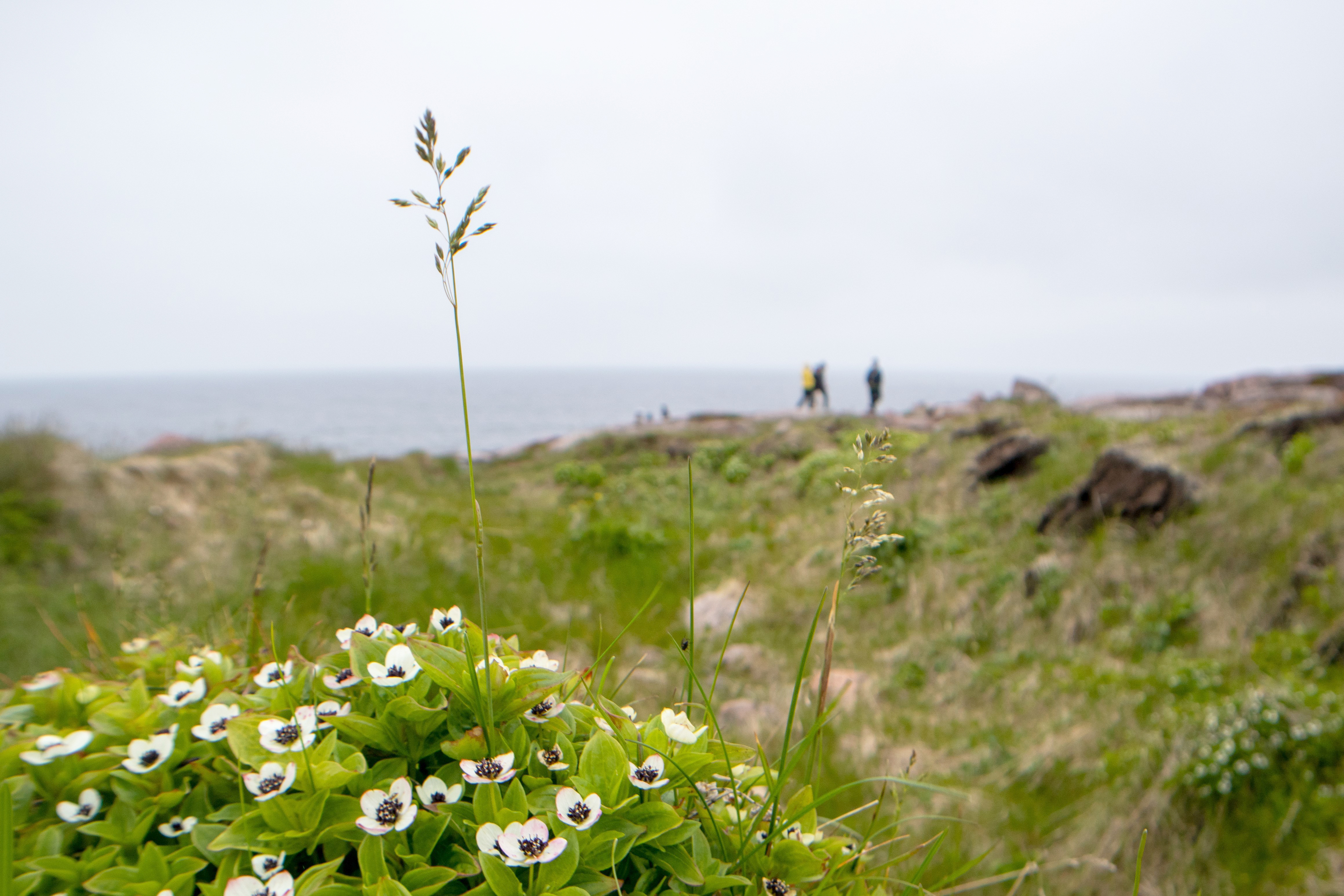 Поездка в Териберку