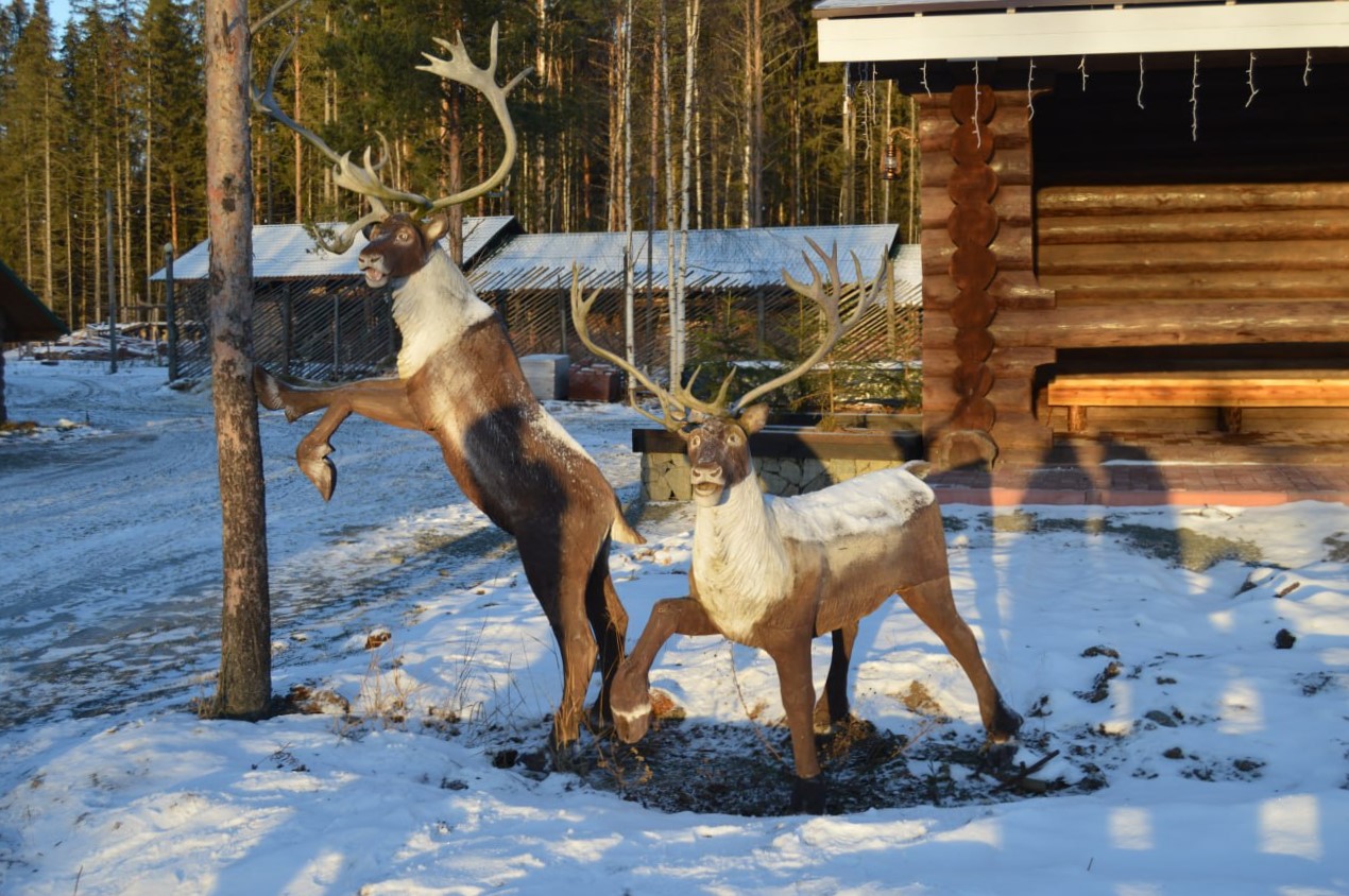 Снежная сказка: от Рускеалы до Талвиукко (мини-группа до 6 чел) (1/15)