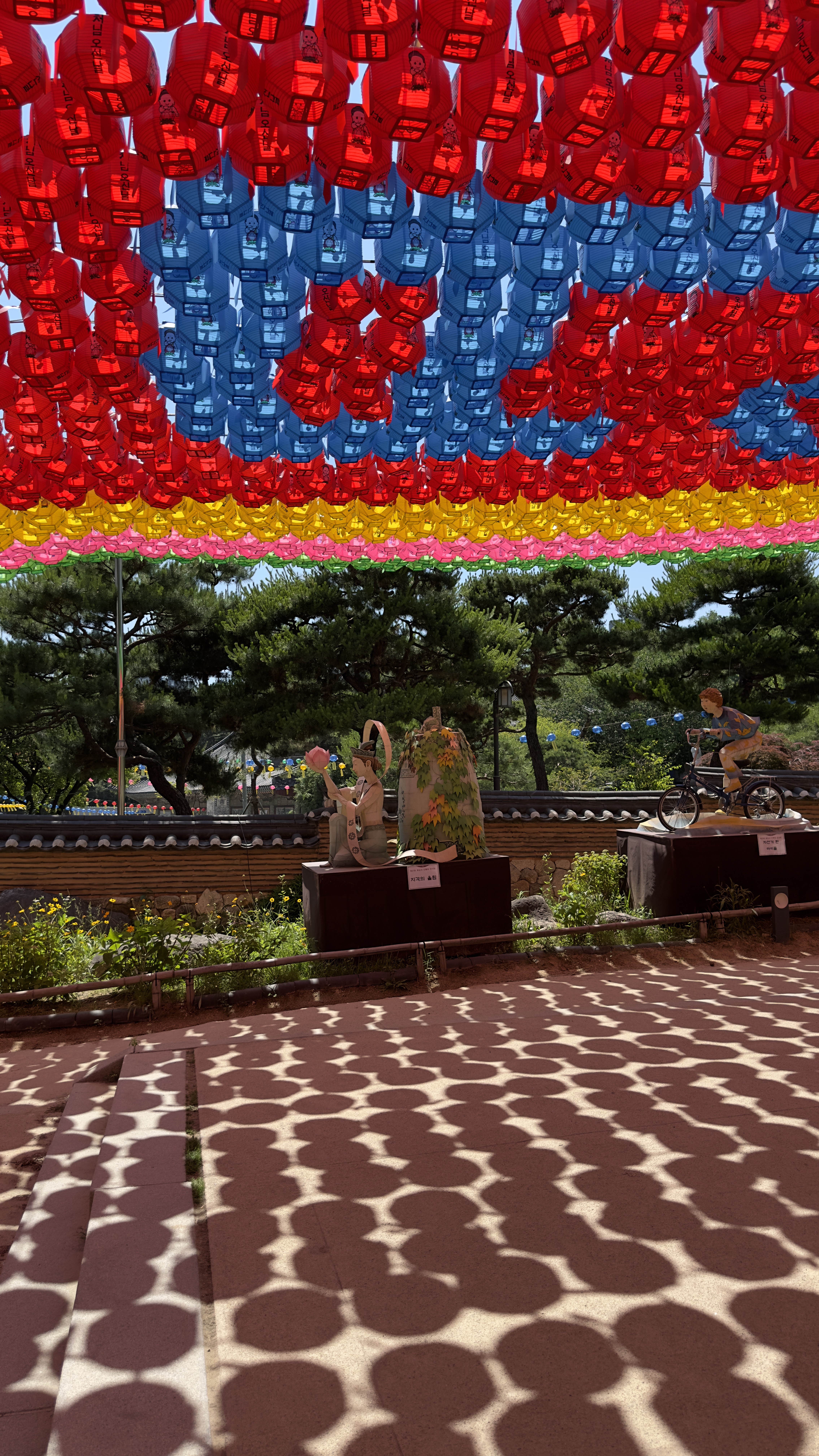 Незабываемый Сеул и студенческие фестивали (14/25)