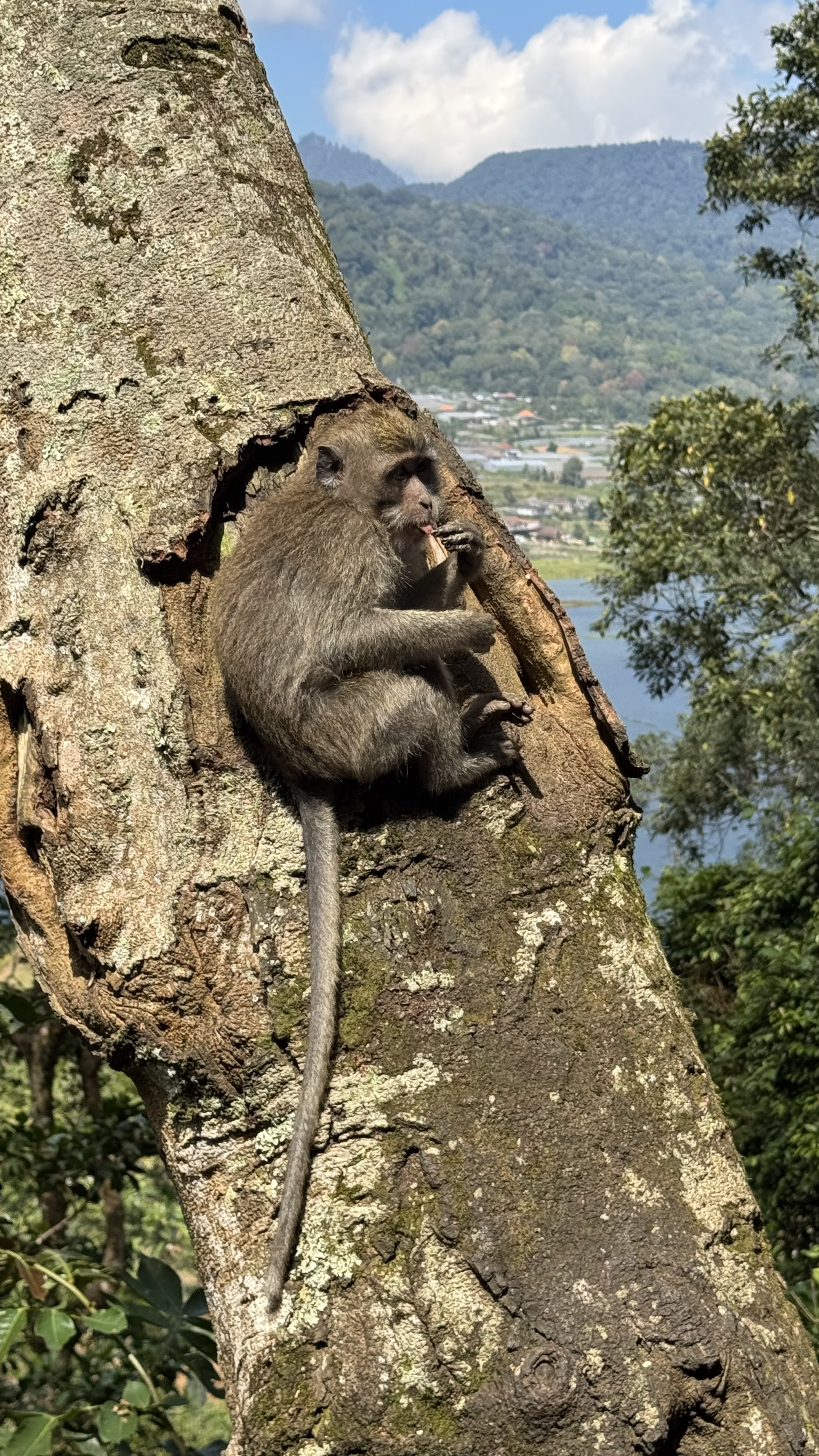 Тропическая Симфония: Бали, Центральная Ява, Малайзия и Вьетнам! (16/57)