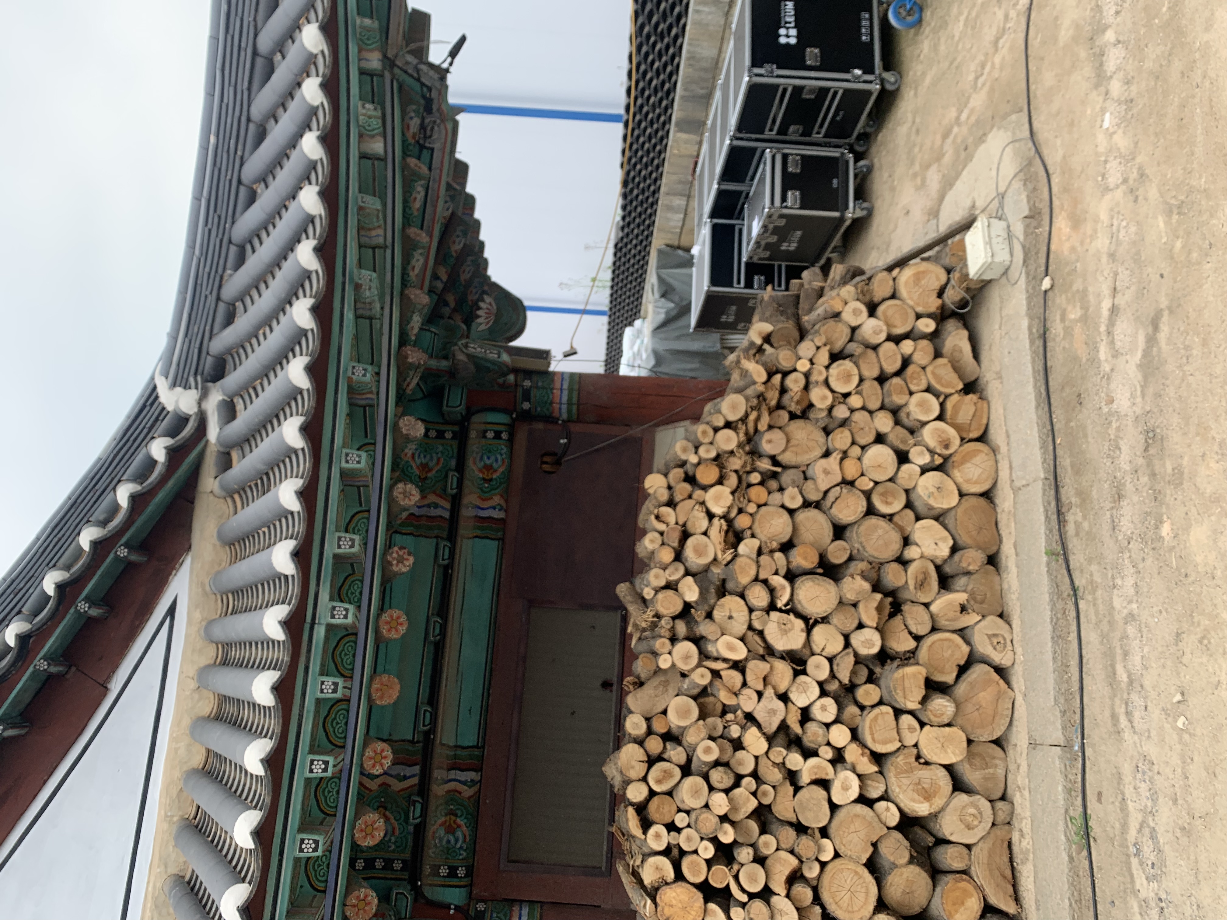 Незабываемый Сеул и студенческие фестивали (16/25)