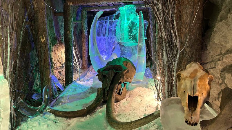 Фестиваль: Полюс Холода 2026 г (5/23)