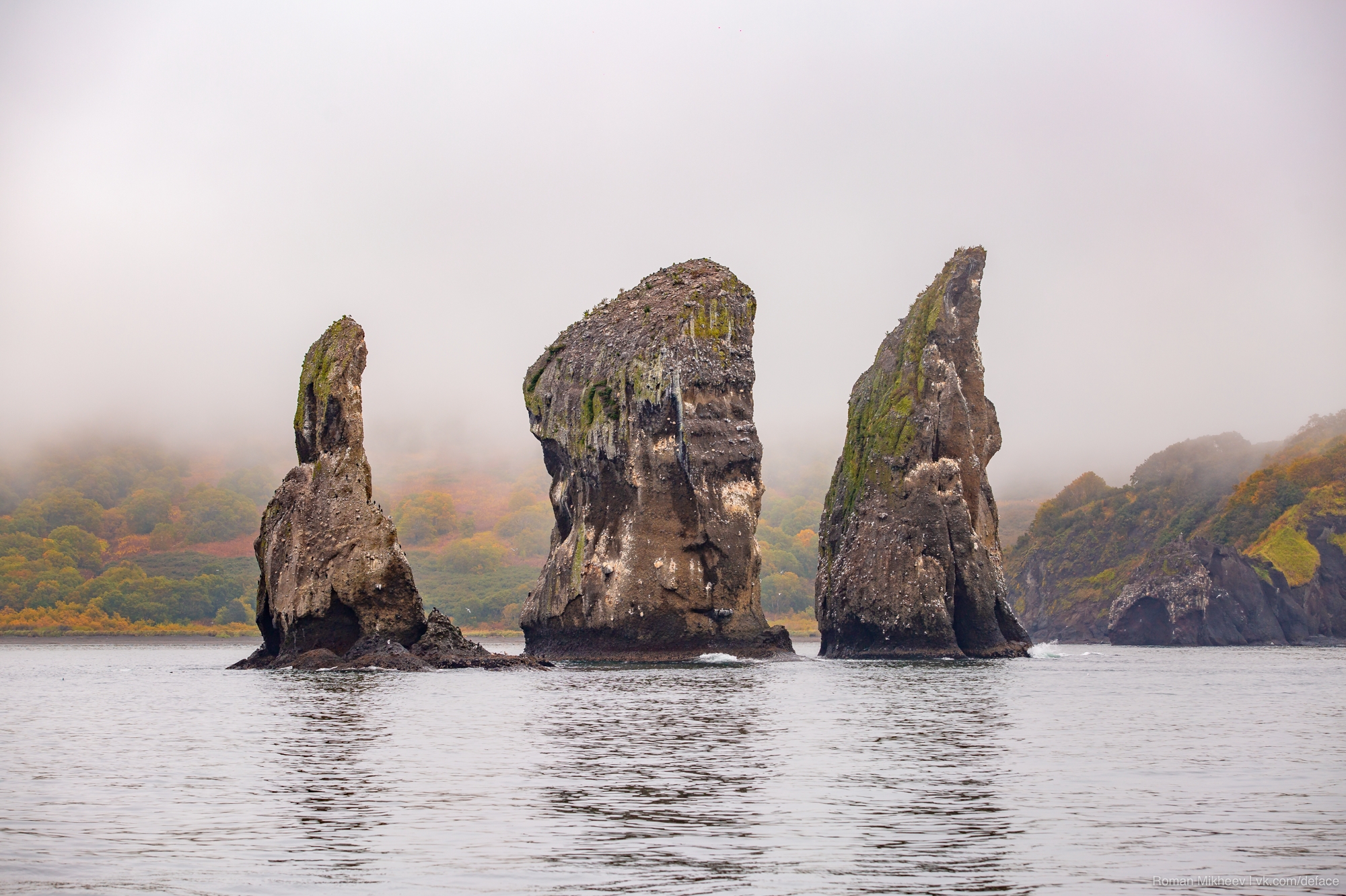 Камчатка. Бережное погружение. (16/16)