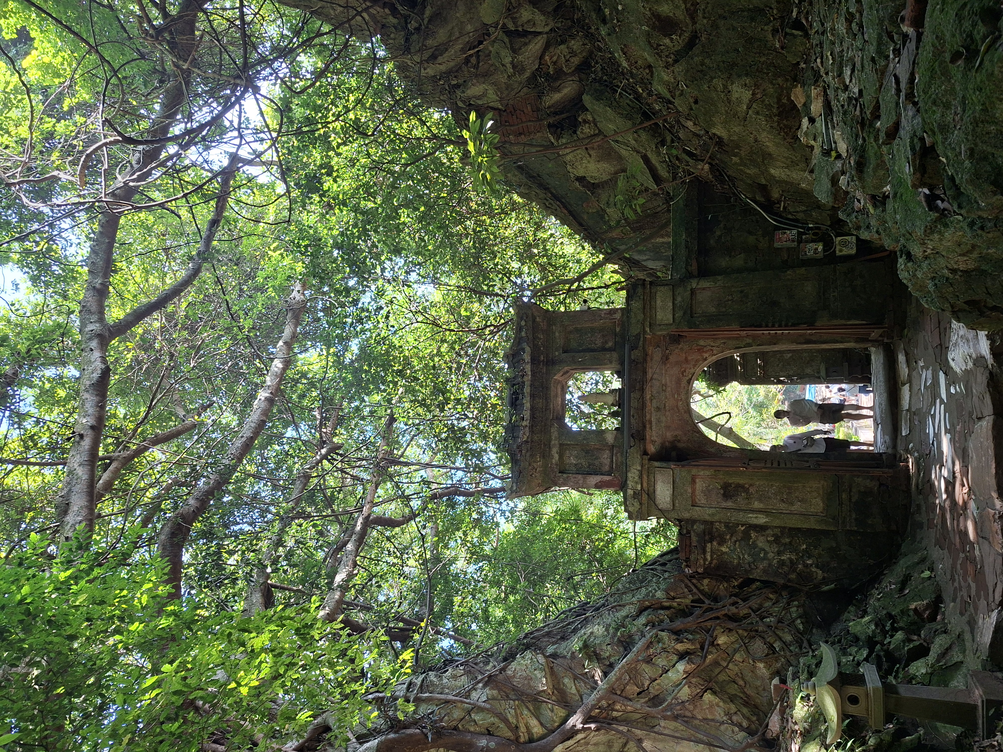 Тропическая Симфония: Бали, Центральная Ява, Малайзия и Вьетнам! (5/57)