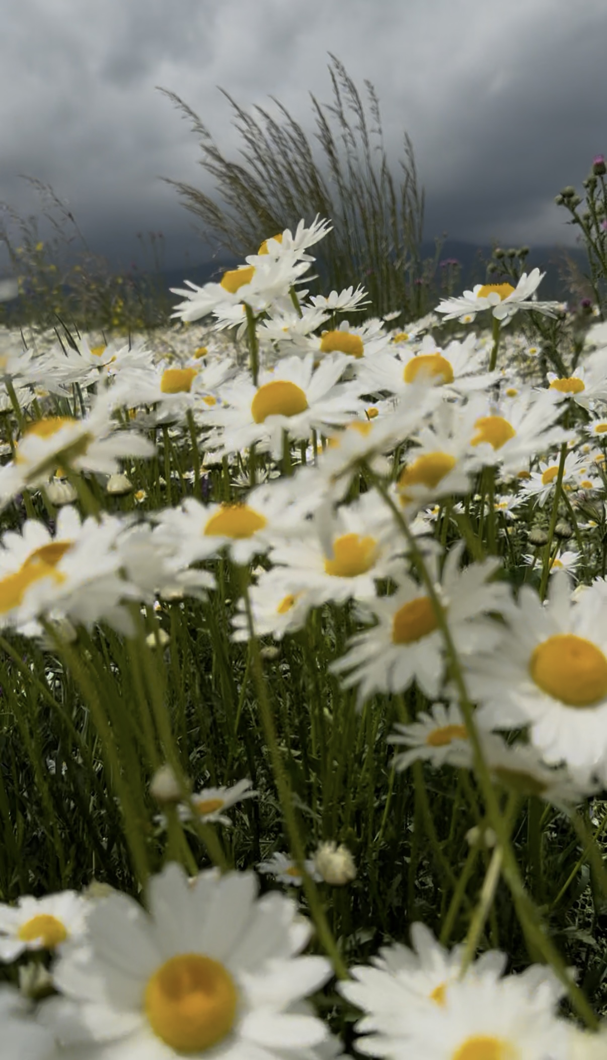 Винно-гастрономический тур: дегустации и мастер-классы (11/30)