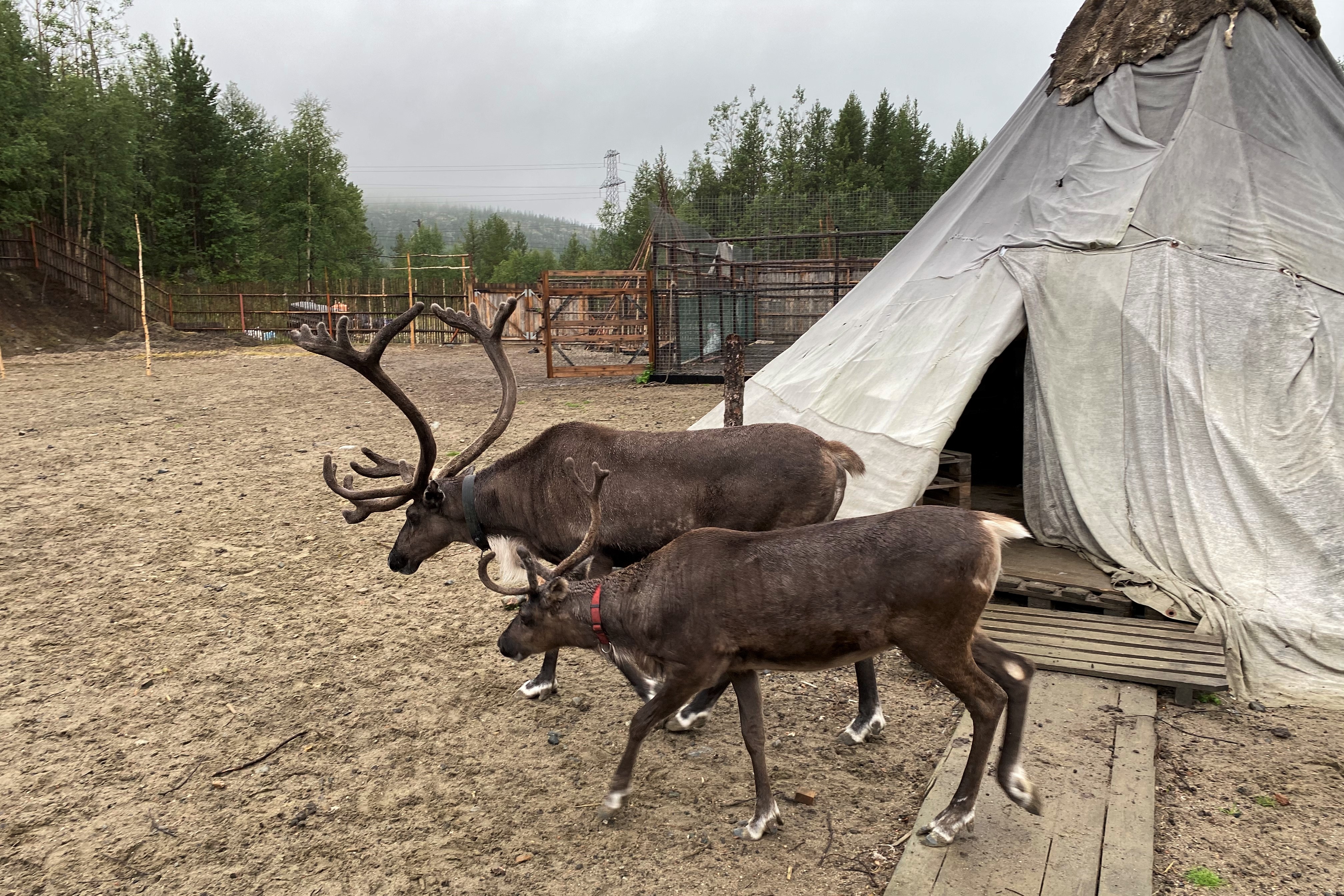 Этнодеревня Огни Имандры + Кировск / Хибины