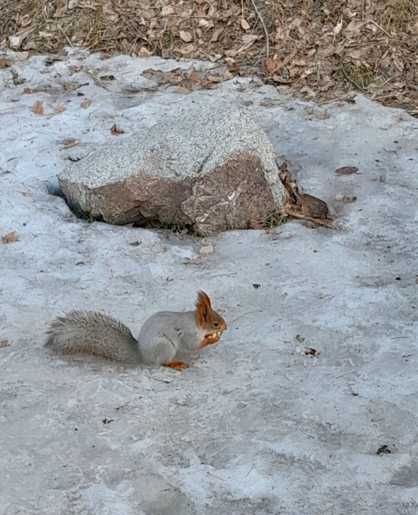 Треккинг От шума льда — к тишине гор (24/34)