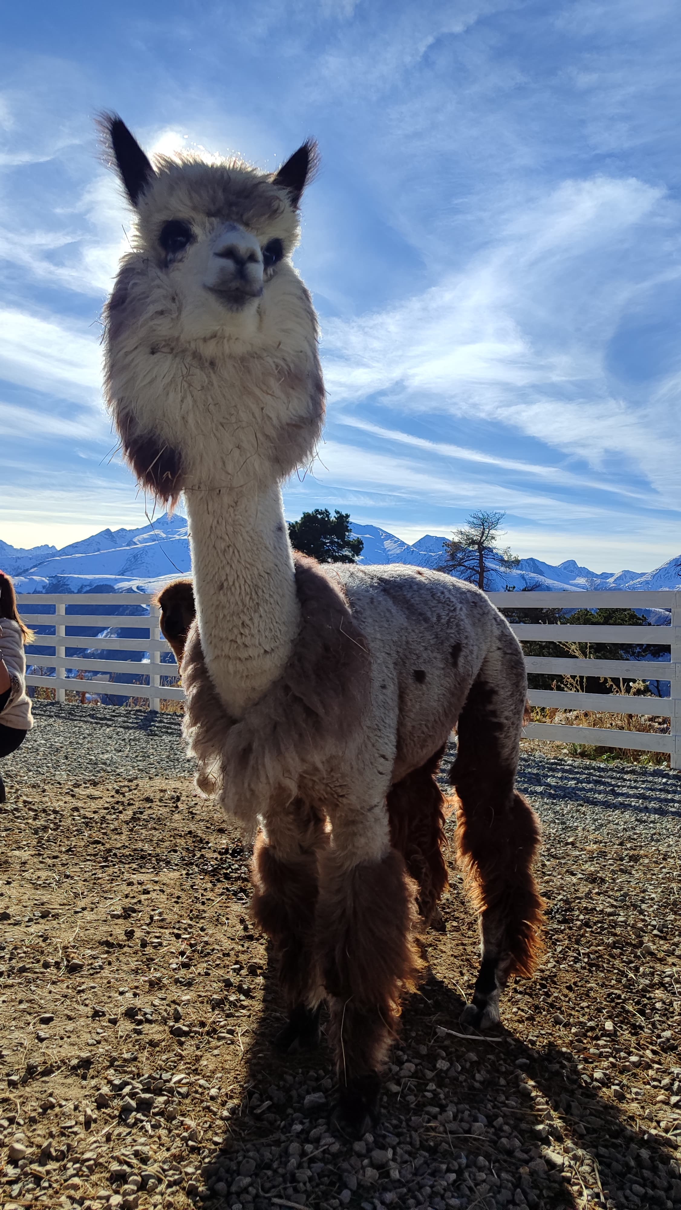 Легендарный Архыз (6/10)