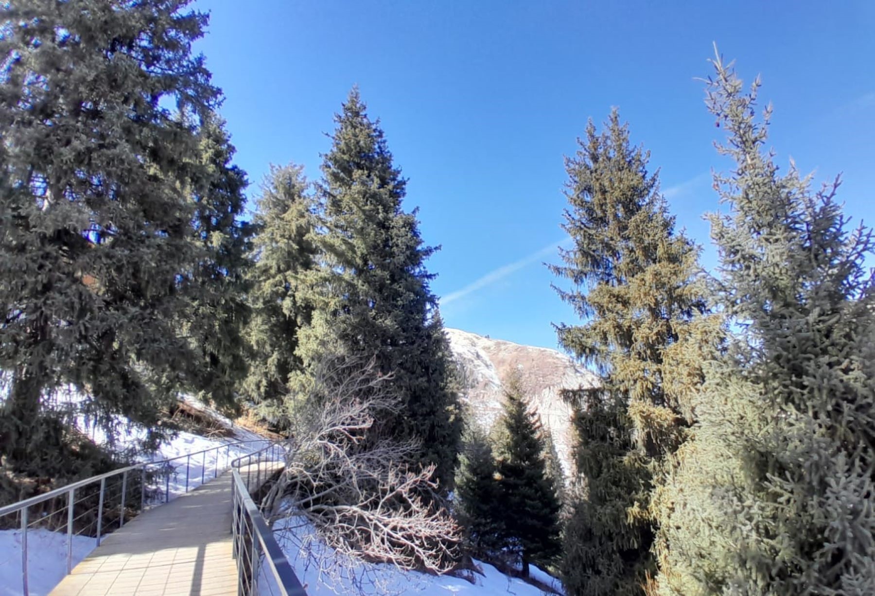 Треккинг От шума льда — к тишине гор (27/34)