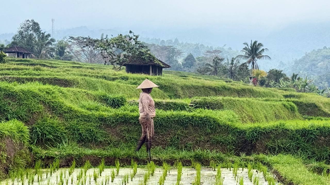 Тропическая Симфония: Бали, Центральная Ява, Малайзия и Вьетнам! (28/57)