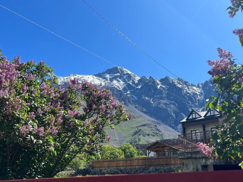 Вкусная Грузия (38/57)