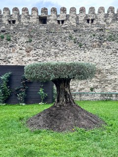 Вкусная Грузия (16/57)