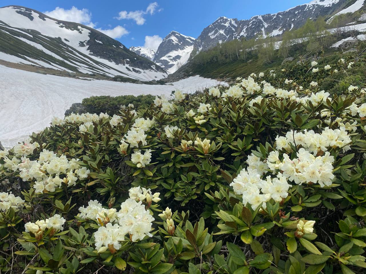 Софийские озера