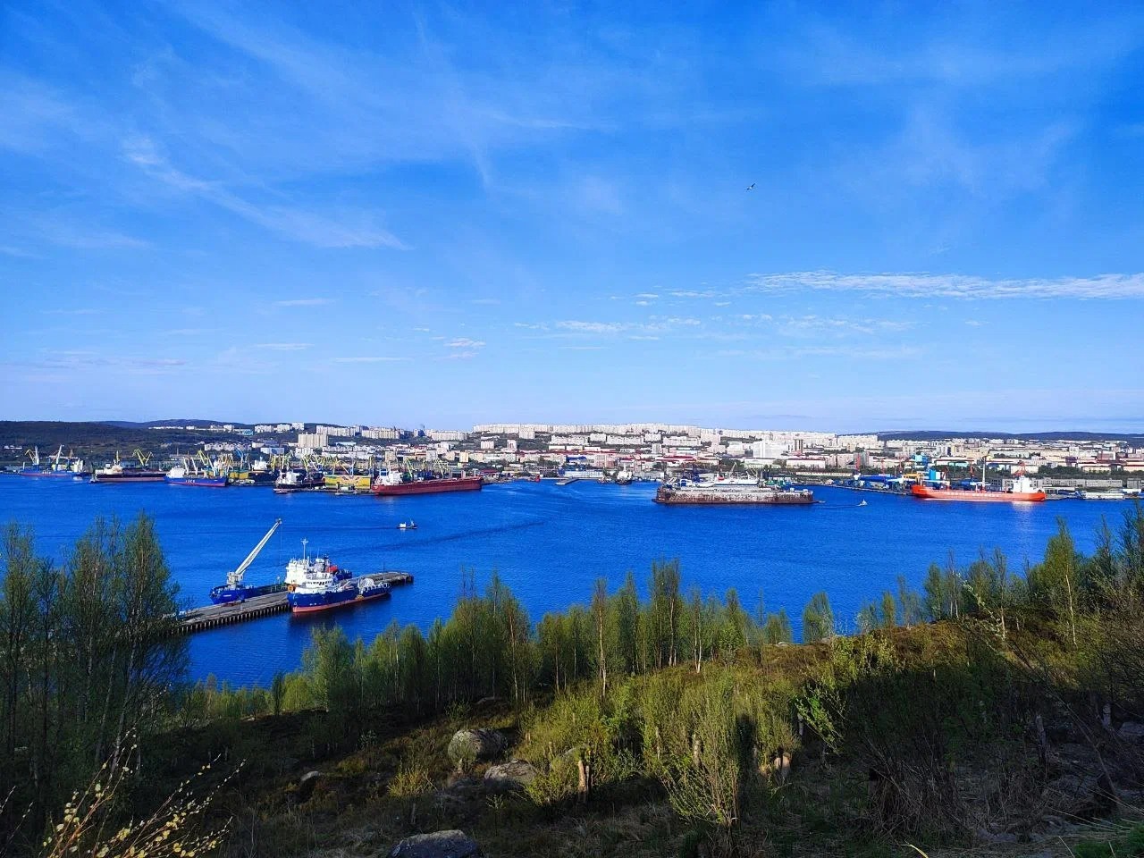 Панорамный Мурманск. Арктическая кухня (5/9)