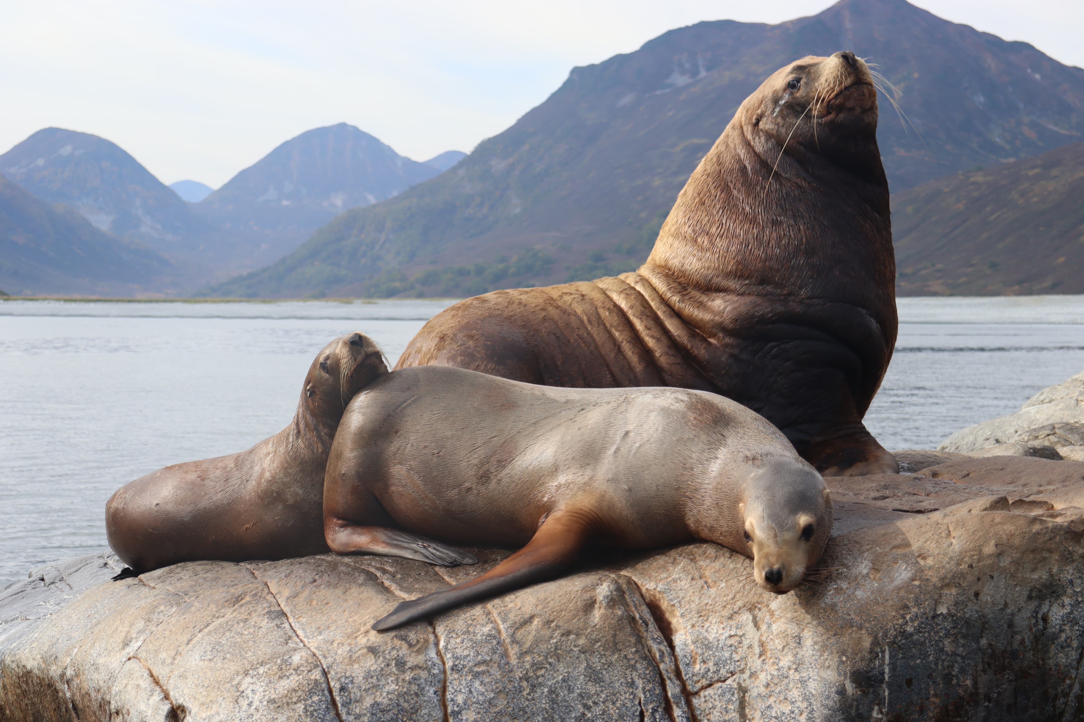 Камчатка. Бережное погружение.