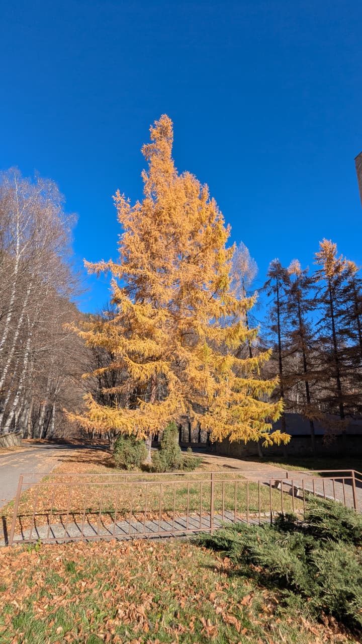 Легендарный Архыз (5/10)