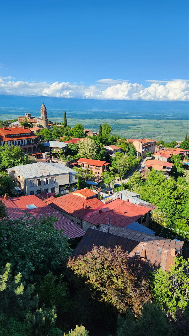 Вкусная Грузия (18/57)