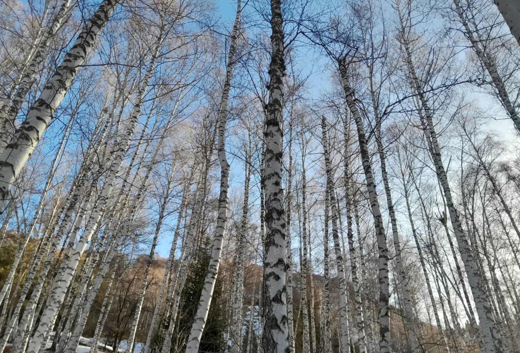 Треккинг От шума льда — к тишине гор (16/34)