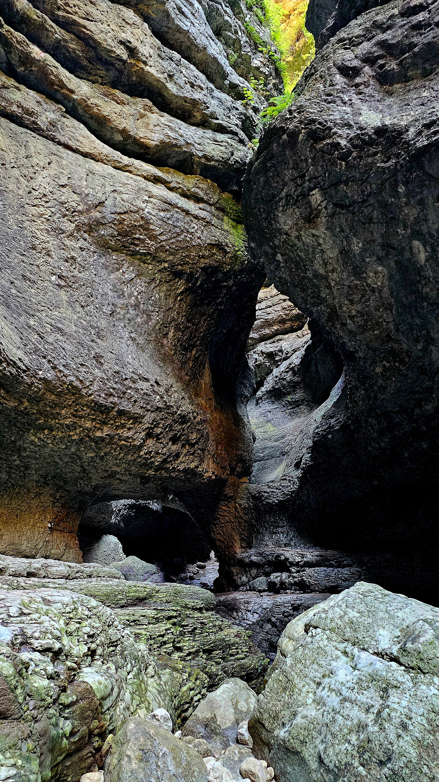Весеннее пламя Дагестана (18/63)