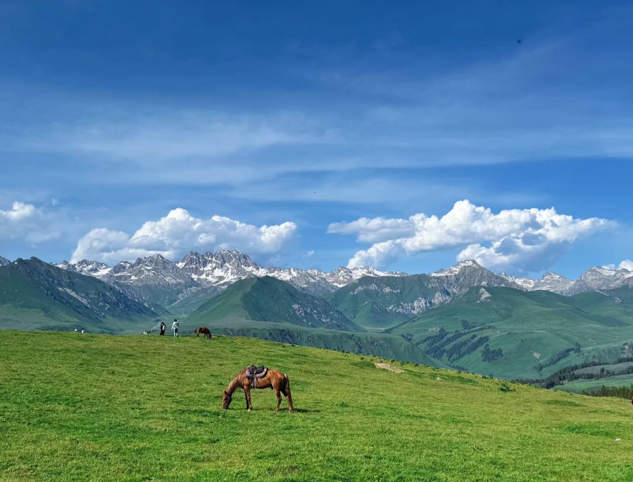 Конная разведка в Китай (22/38)