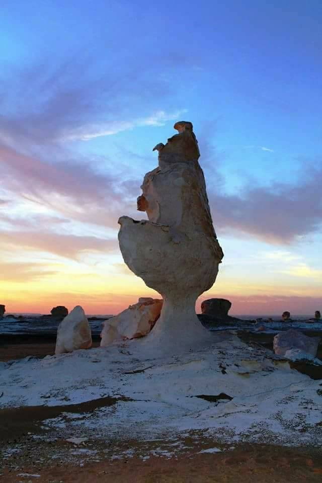 Египет: фестиваль Zamna Festival + Белая и Чёрная пустыни (19/23)