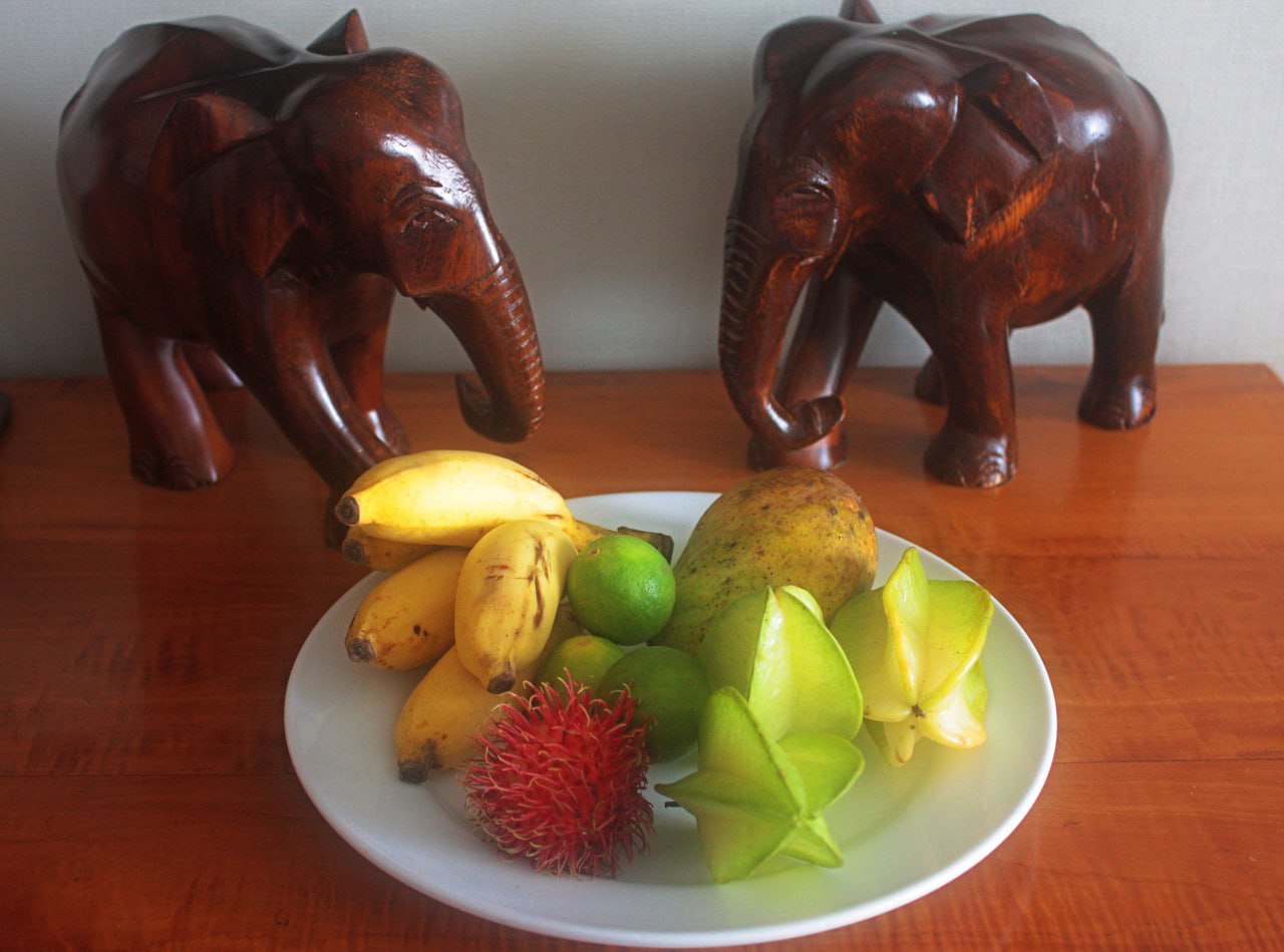 Ретрит с астрологом. Шри-Ланка 9 дней. Путешествие мечты  с личными разборами судьбы (21/21)