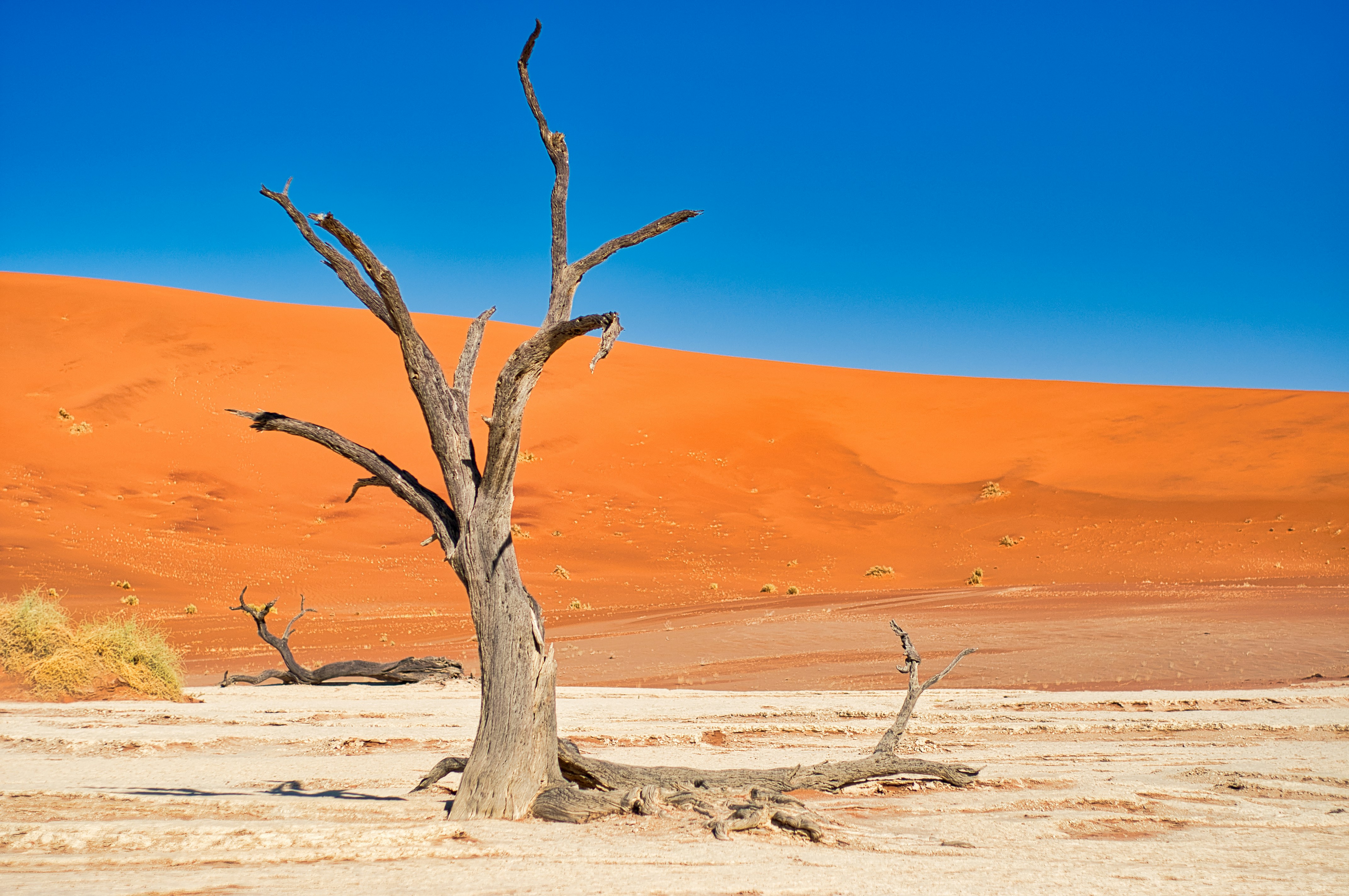 Намибия. Где дюны целуют океан (13/20)